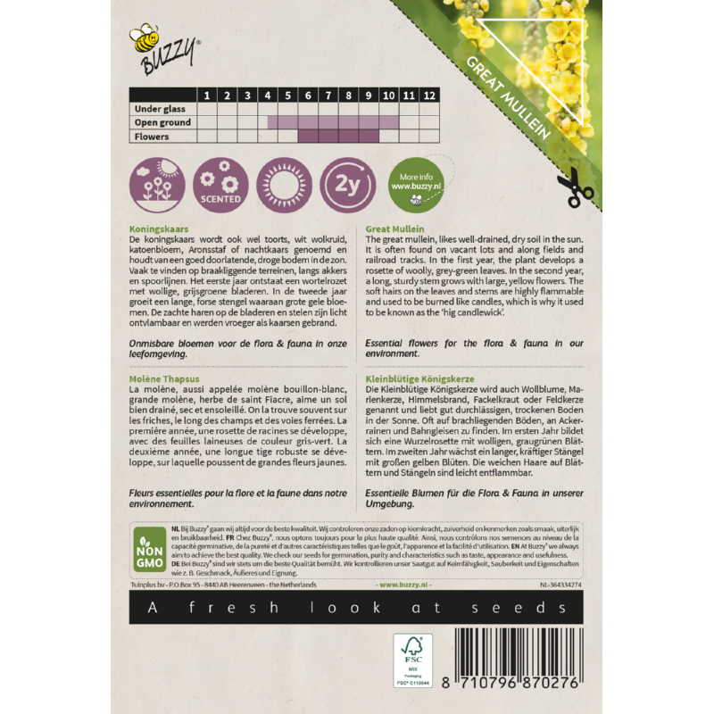 Buzzy® Native Flowers, Great Mullein