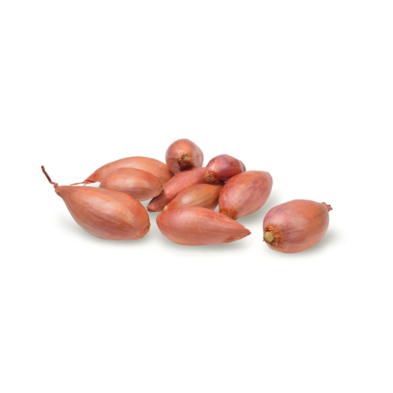 Plant Shallots Longor 500g