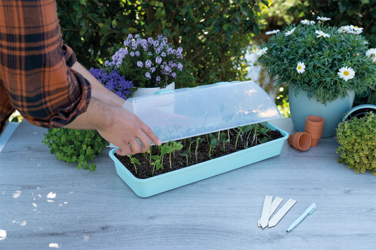 SOGO Display Vensterbank kweekkas Maxigrow (10st)