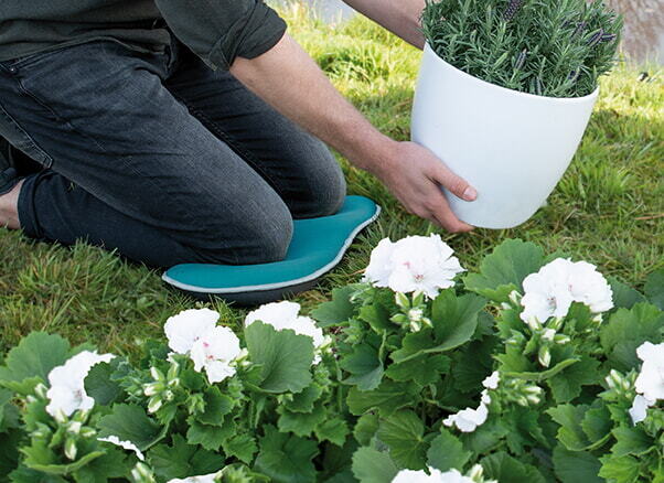 SOGO Display Knielkussen (31st)