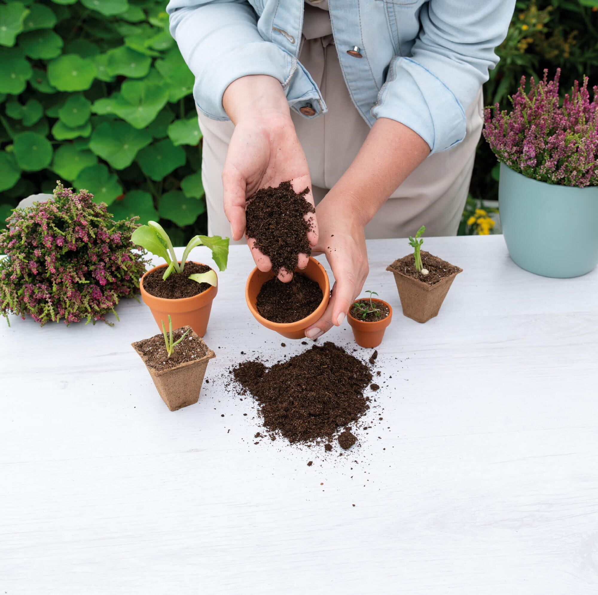 SOGO Display Biologische Zaai en Stekgrond 5l (68st)