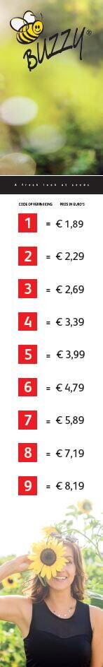 Magnetposter Vertical Price code Buzzy