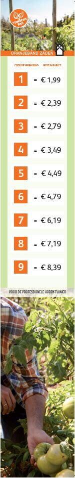 Magnetposter Vertical price code OBZ