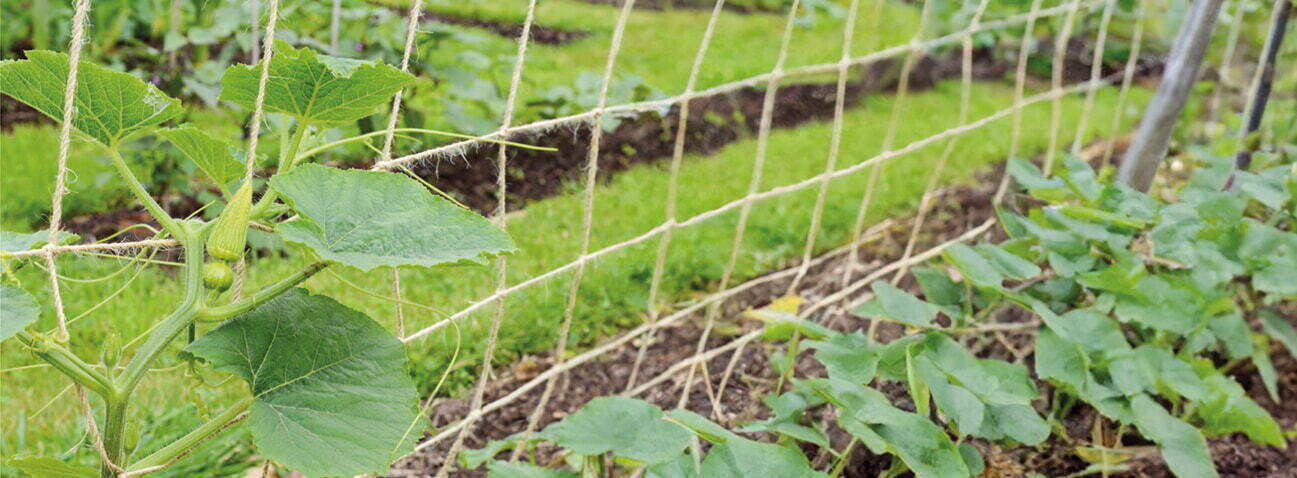 SOGO Garden net Jute 1.8x1.8m natural