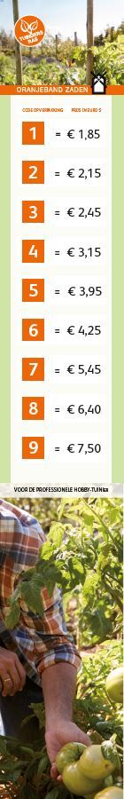 Magneetposter Verticaal prijscodering OBZ België