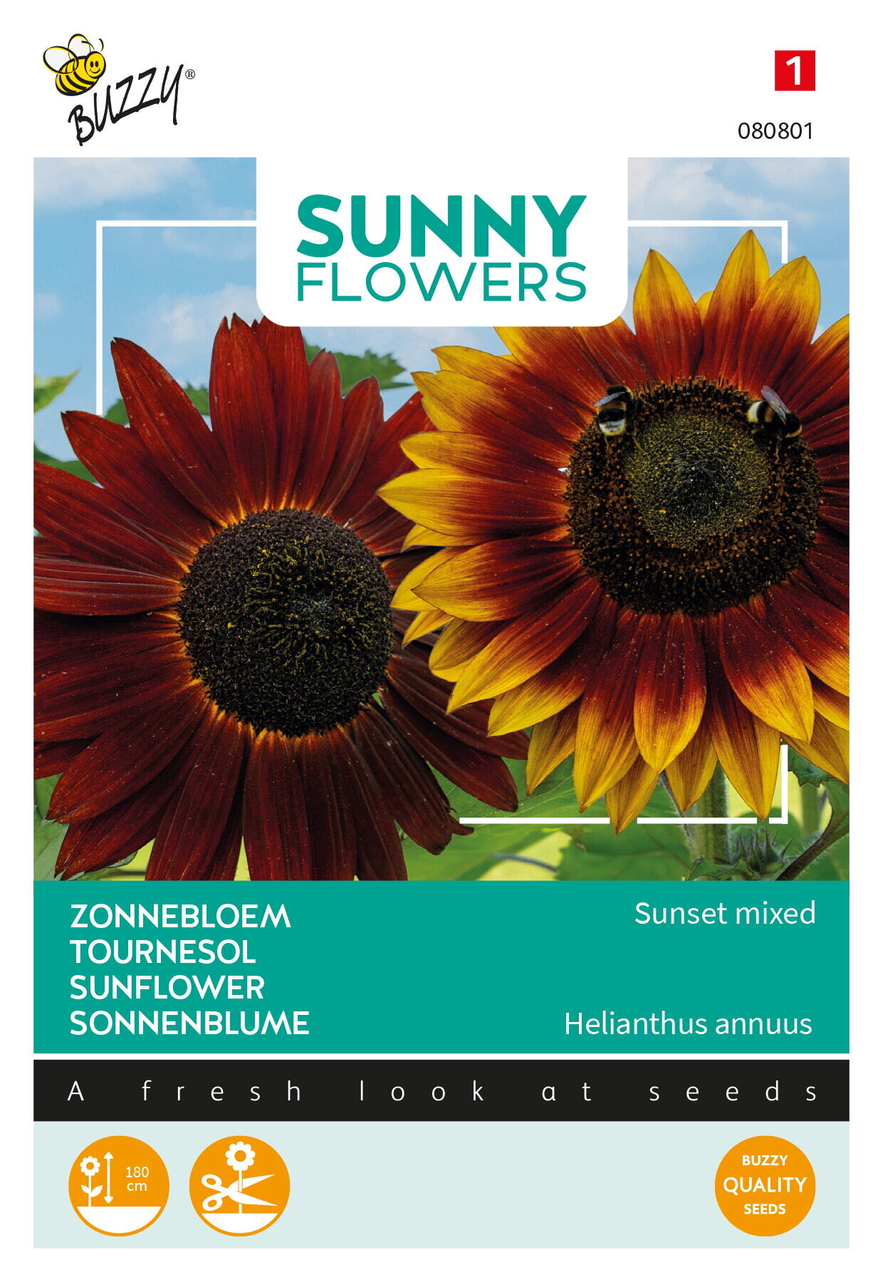 Buzzy® Sunny Flowers, Sunflower Sunset mixed