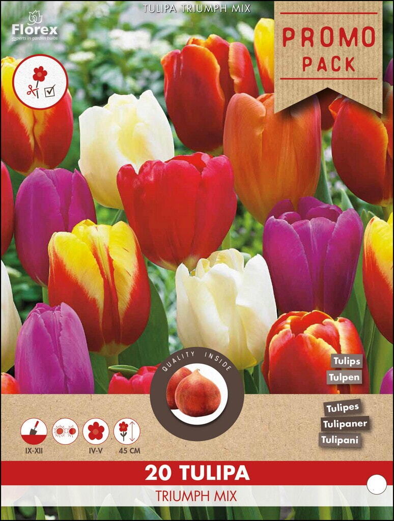 Salespackage Tulips mixed 11/12 20pcs.
