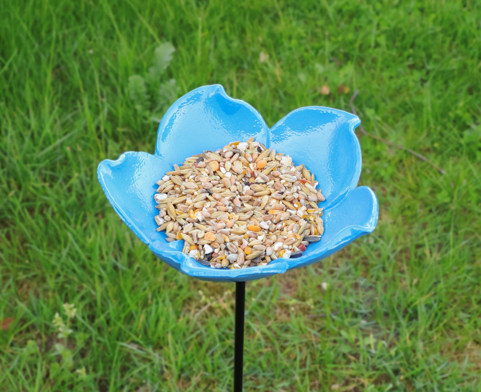 Bûten Gift Feeder Stake Forgot-me-not