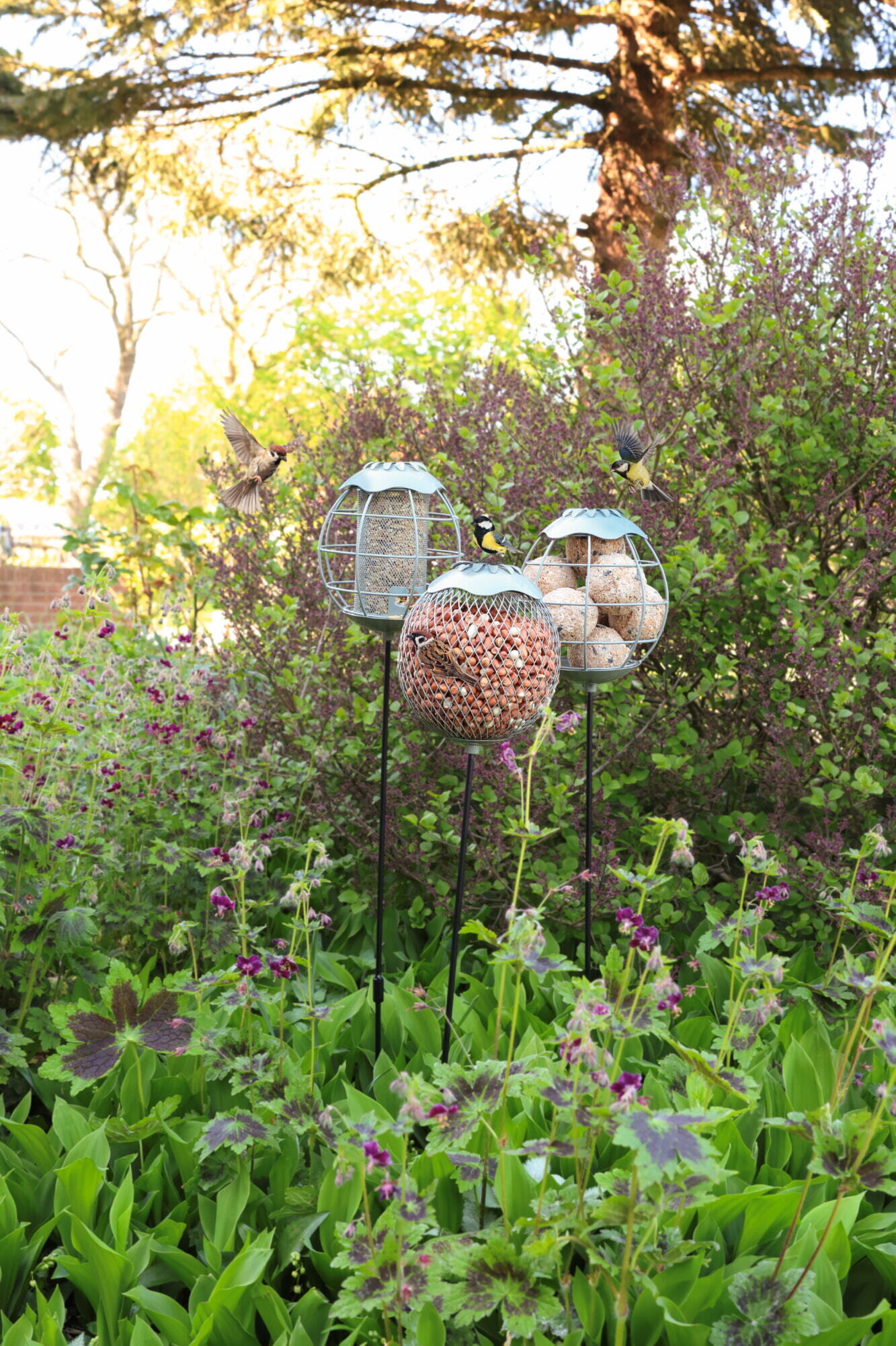 Bûten Gift Feeder Stake display Forest 45st