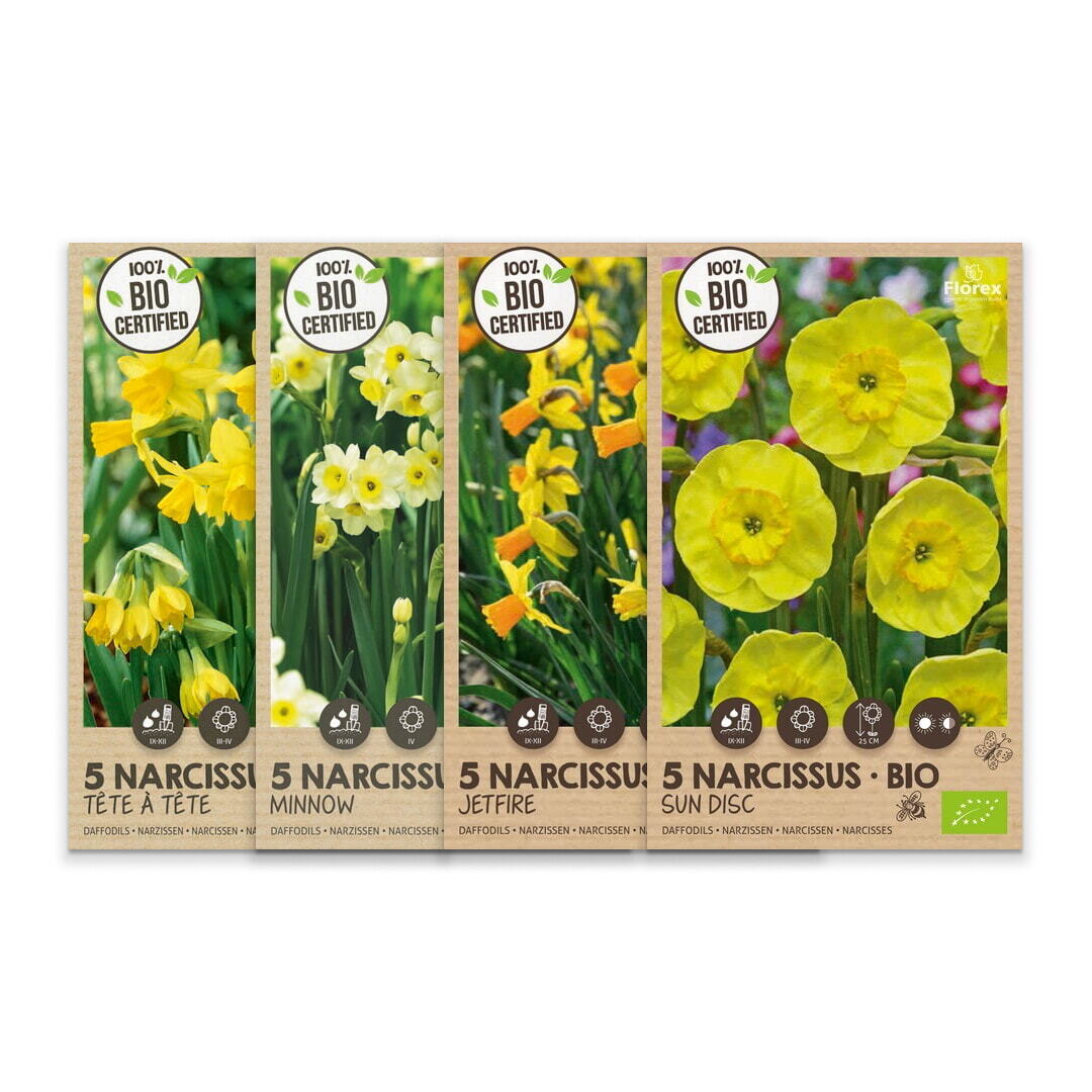 Cassette pakket Organic Narcis 4x10st