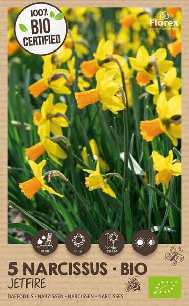 Bio Narcis Jetfire 10/12 5st.