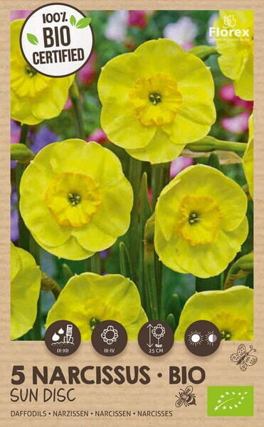 Bio Narcis Sun Disc 10/12 5st.