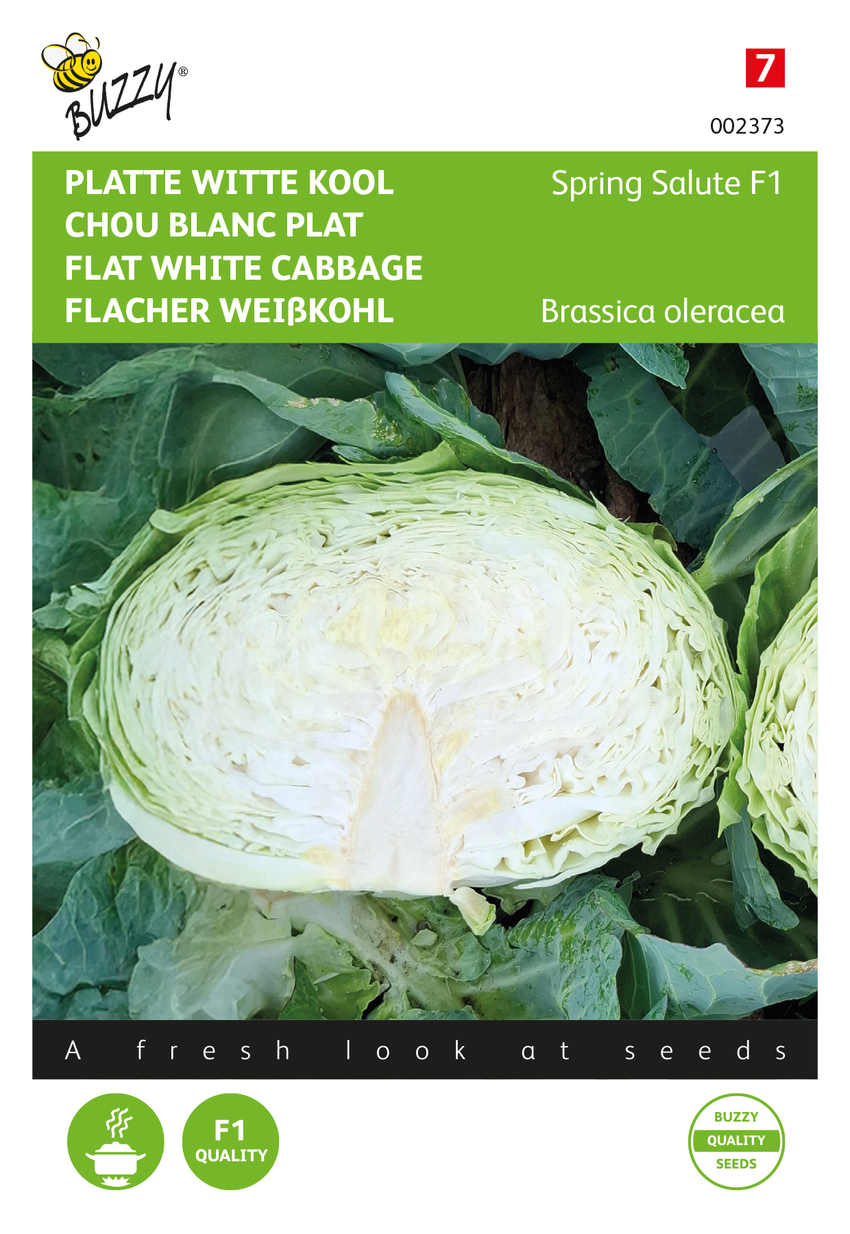 Buzzy® Flat white cabbage Spring Salute F1