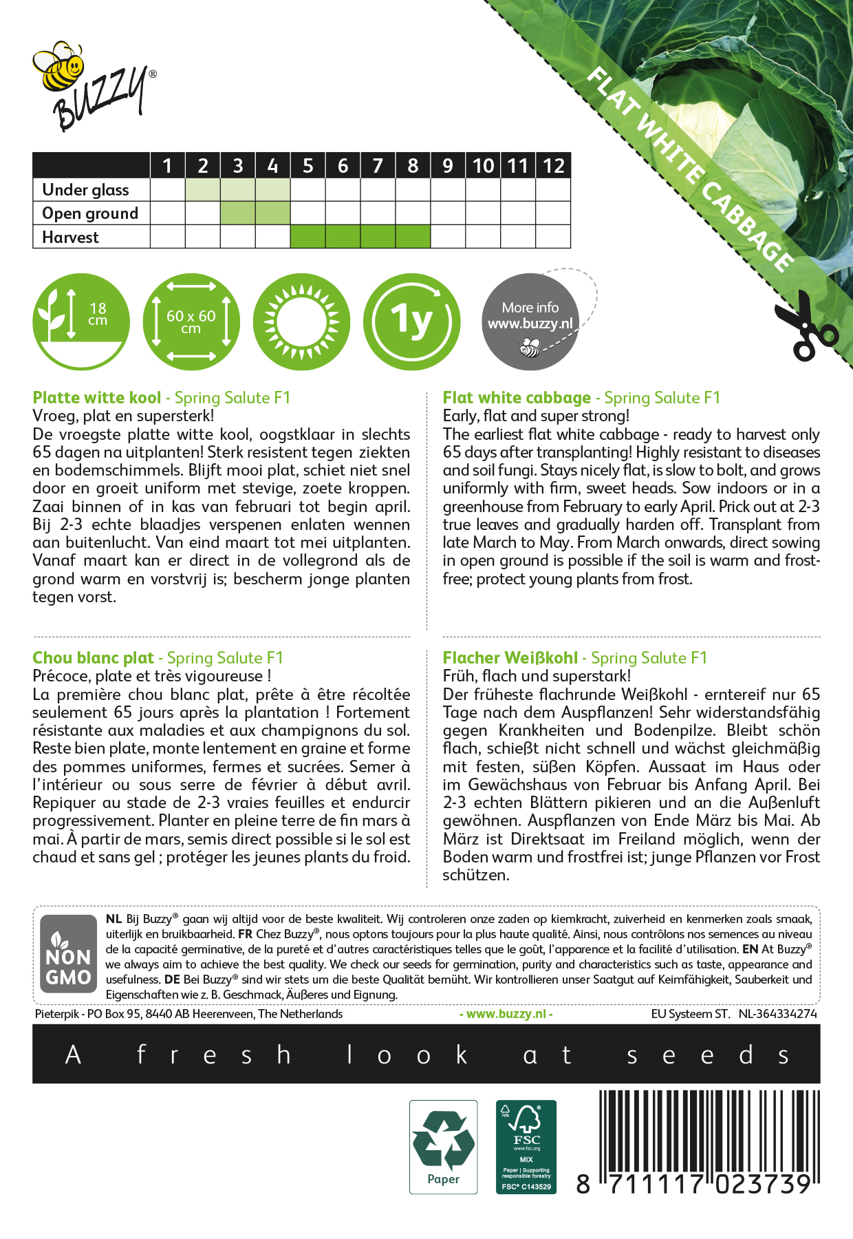 Buzzy® Flat white cabbage Spring Salute F1