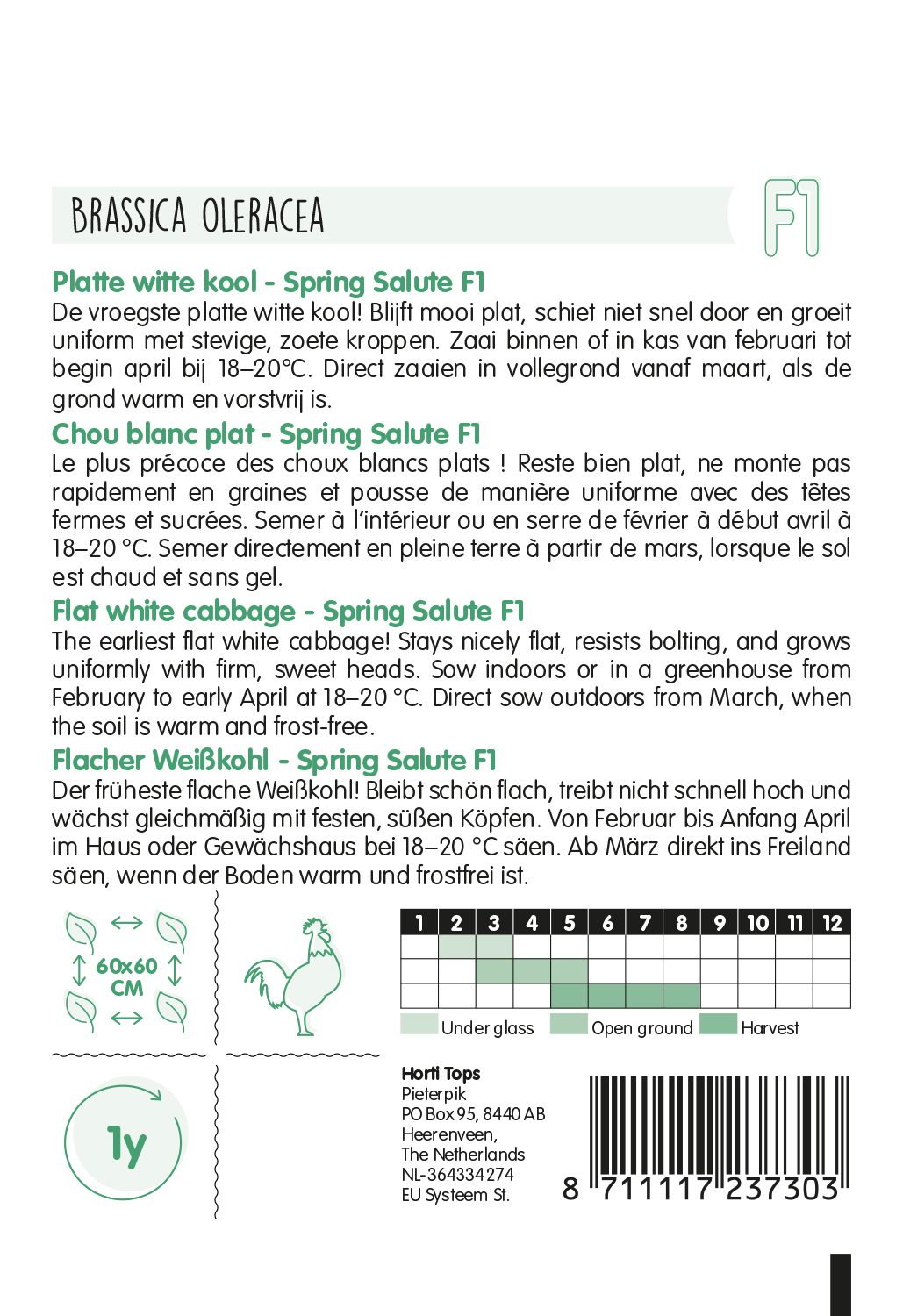 Horti Tops® Flat white cabbage Spring Salute F1