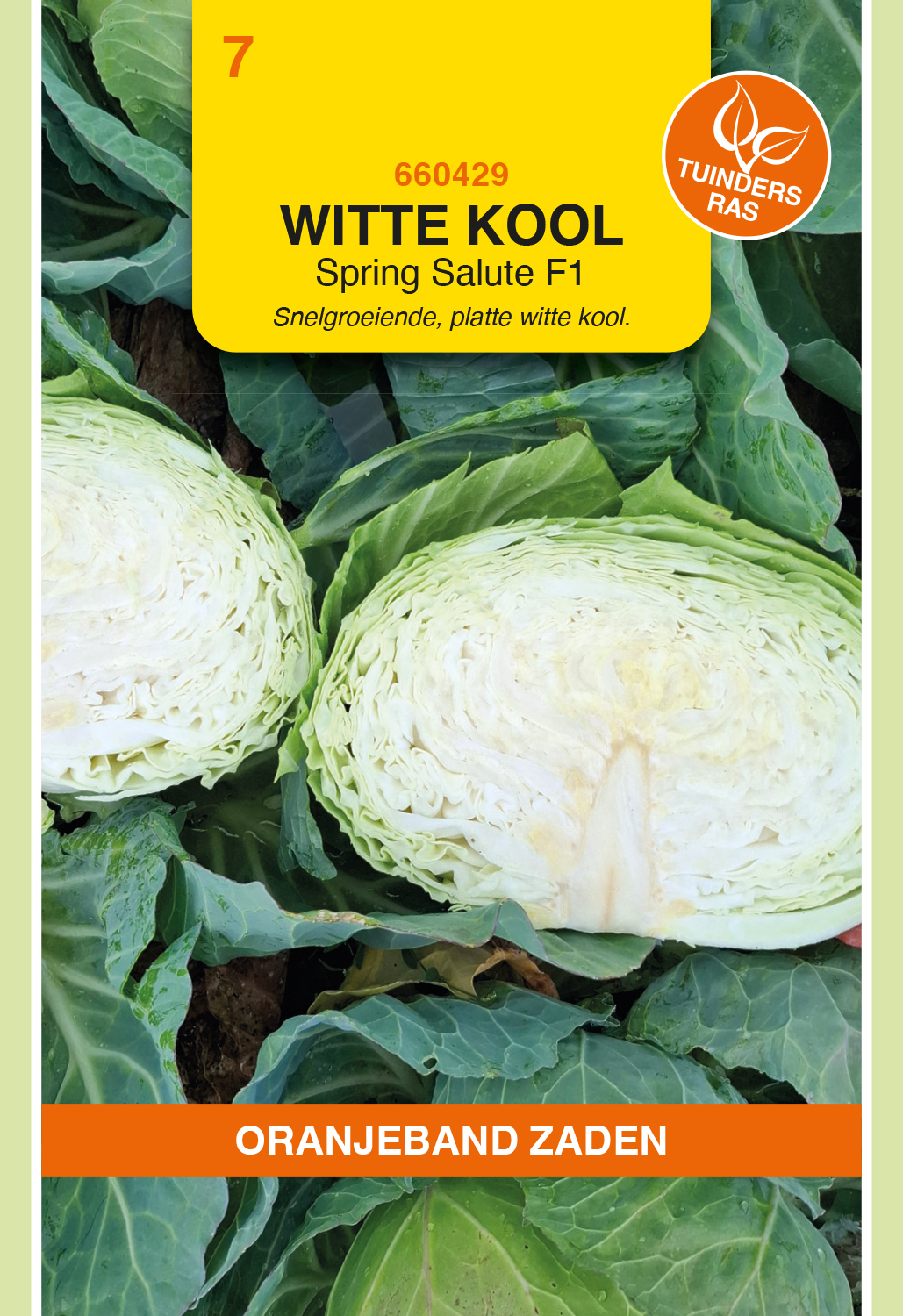 Oranjeband® White cabbage Spring Salute F1