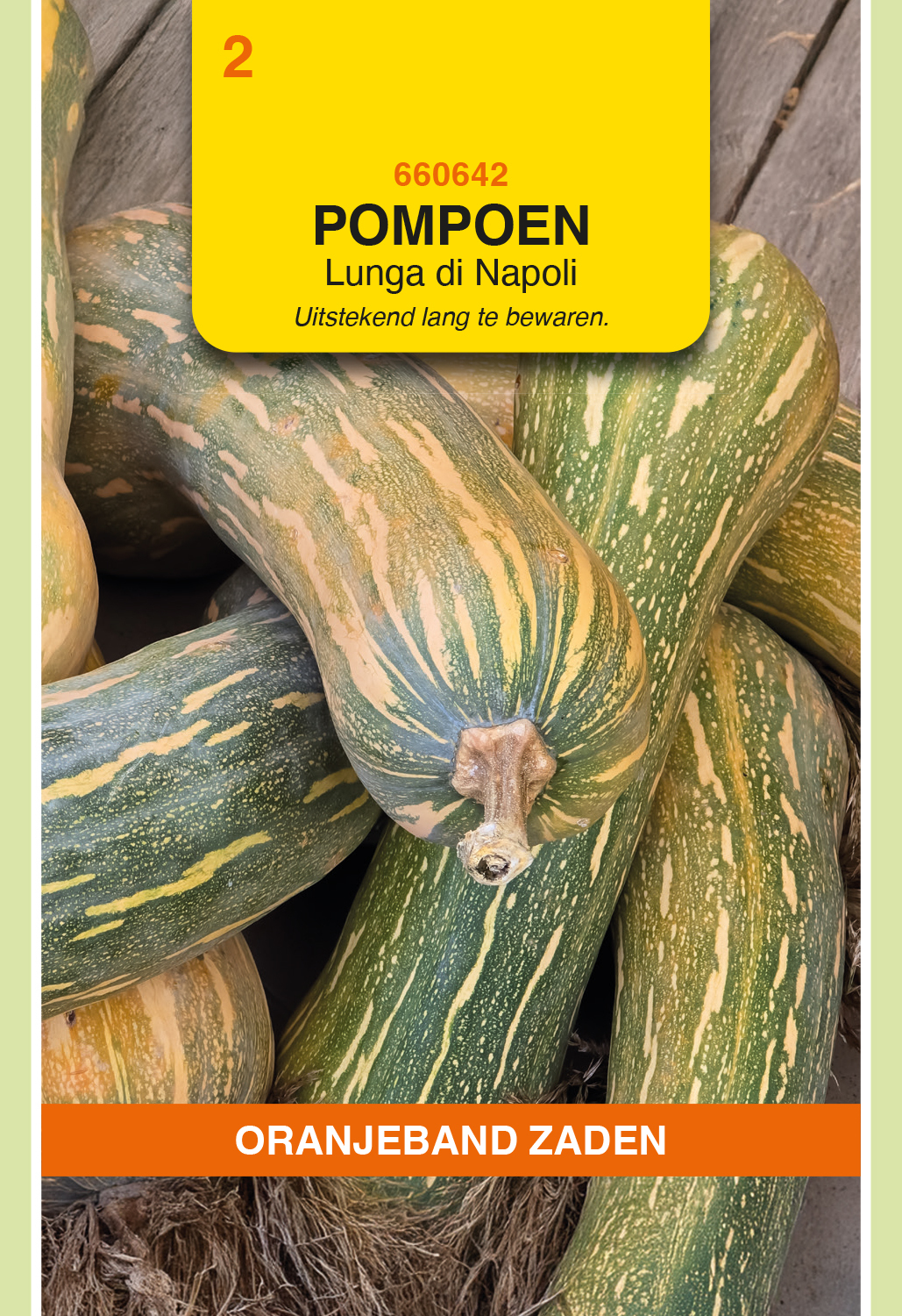 Oranjeband® Pumpkin Lunga di Napoli