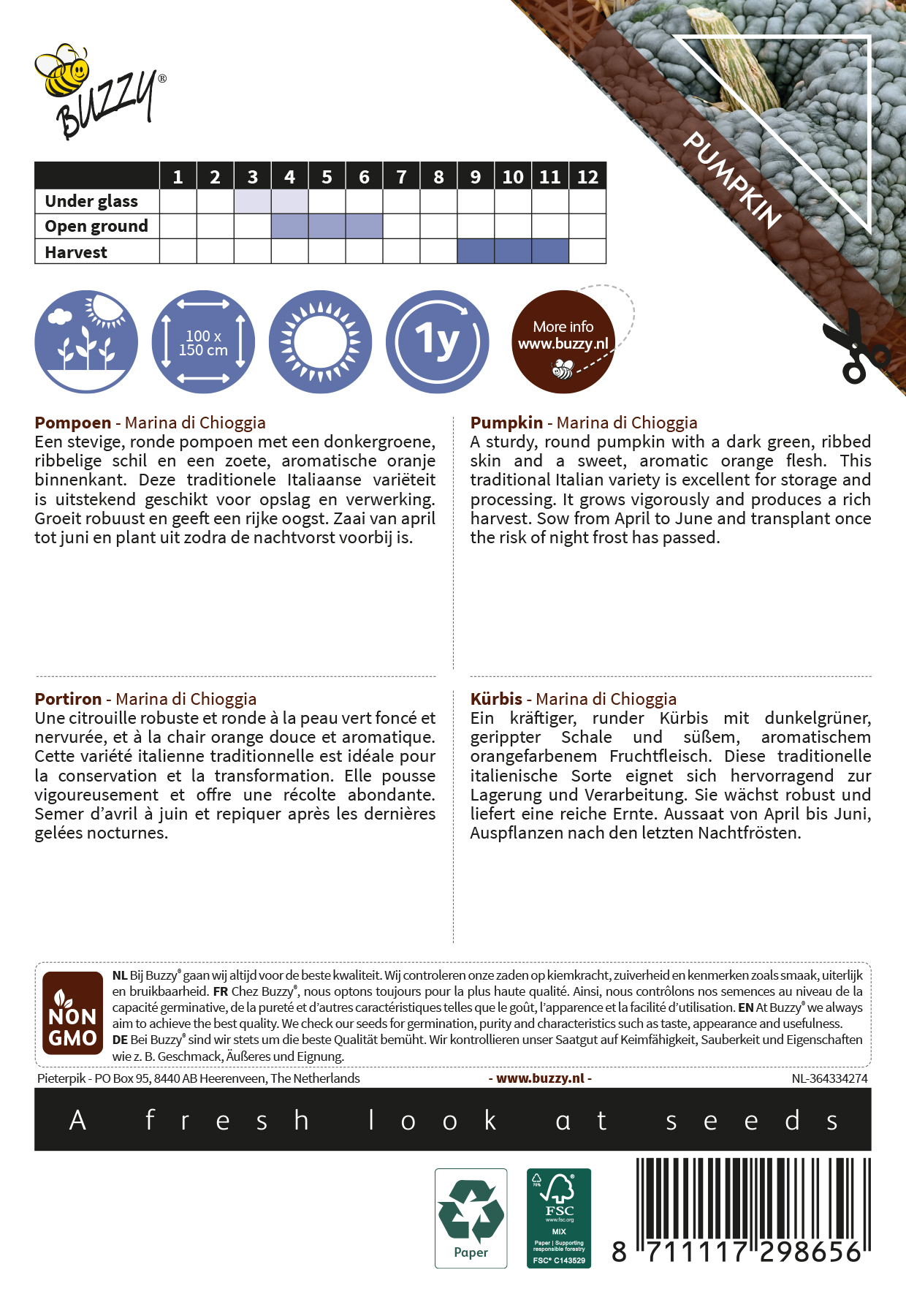 Buzzy® Ornamental Pumpkin Marina di Chioggia