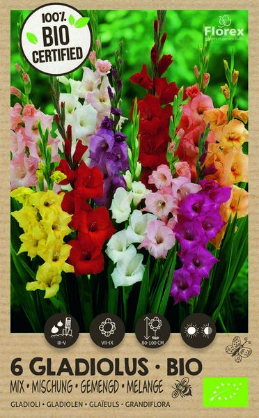 Bio Gladiolus Grandiflora mixed 6pcs.
