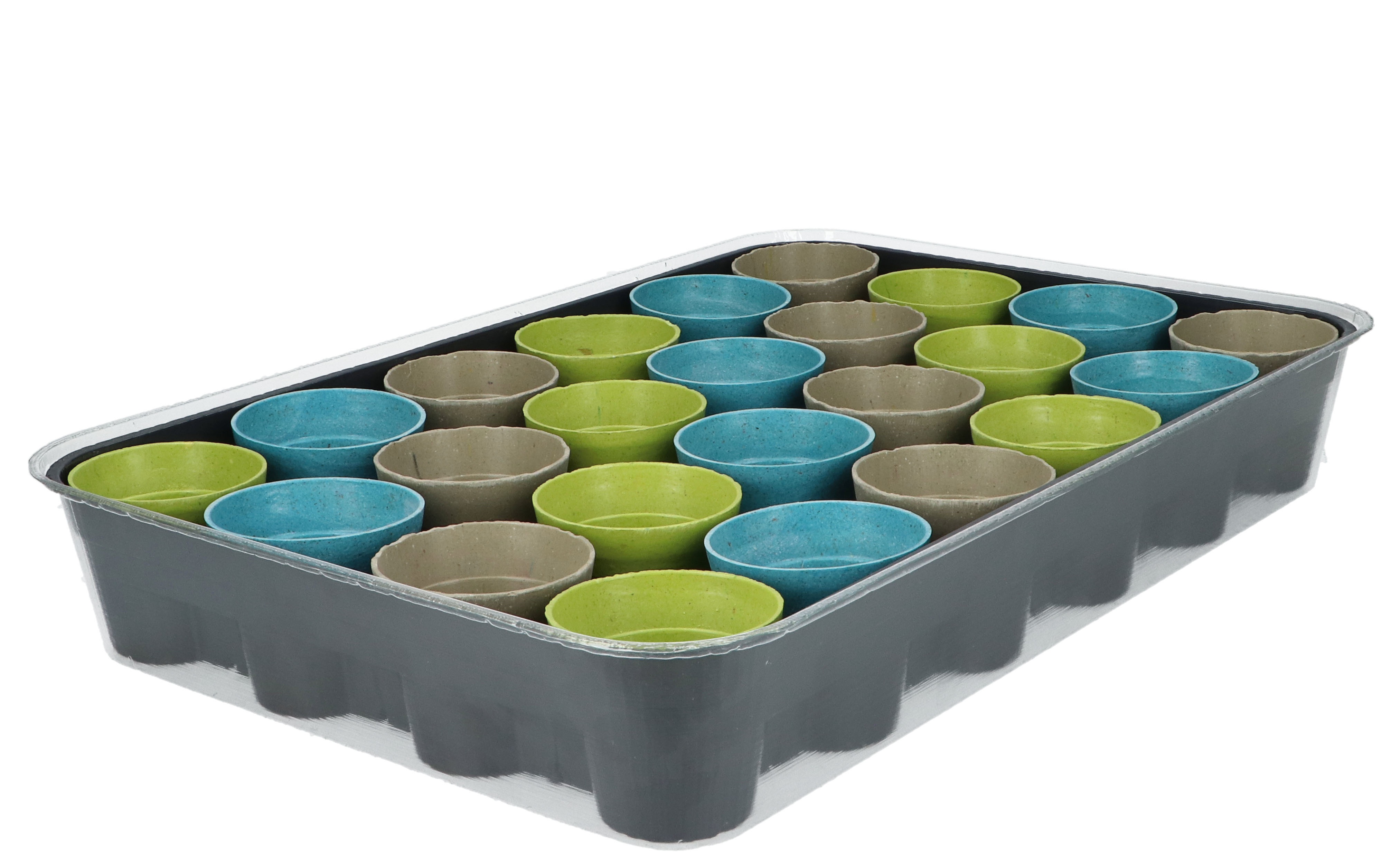 Buzzy® Advent calender flowers