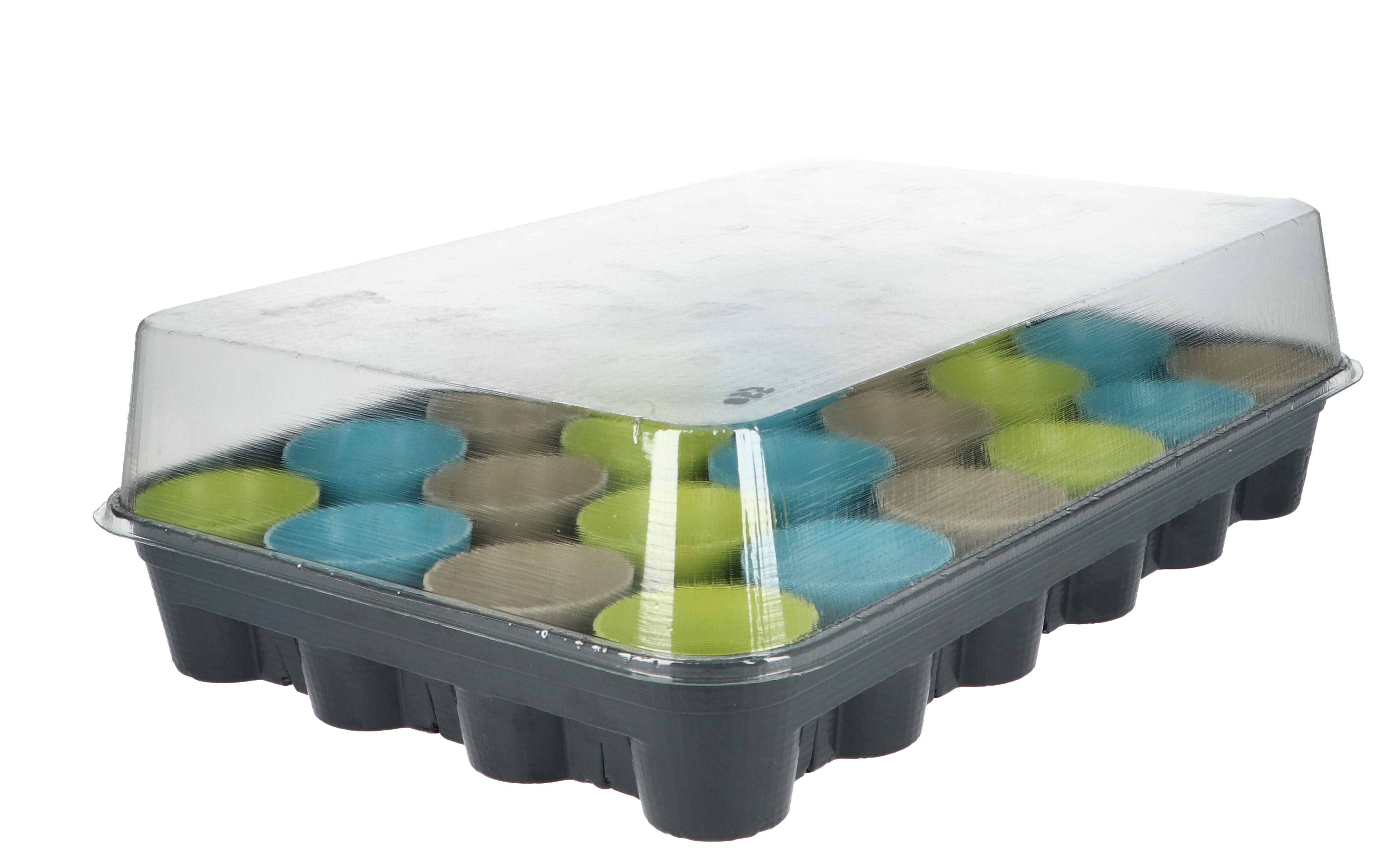 Buzzy® Advent calender flowers