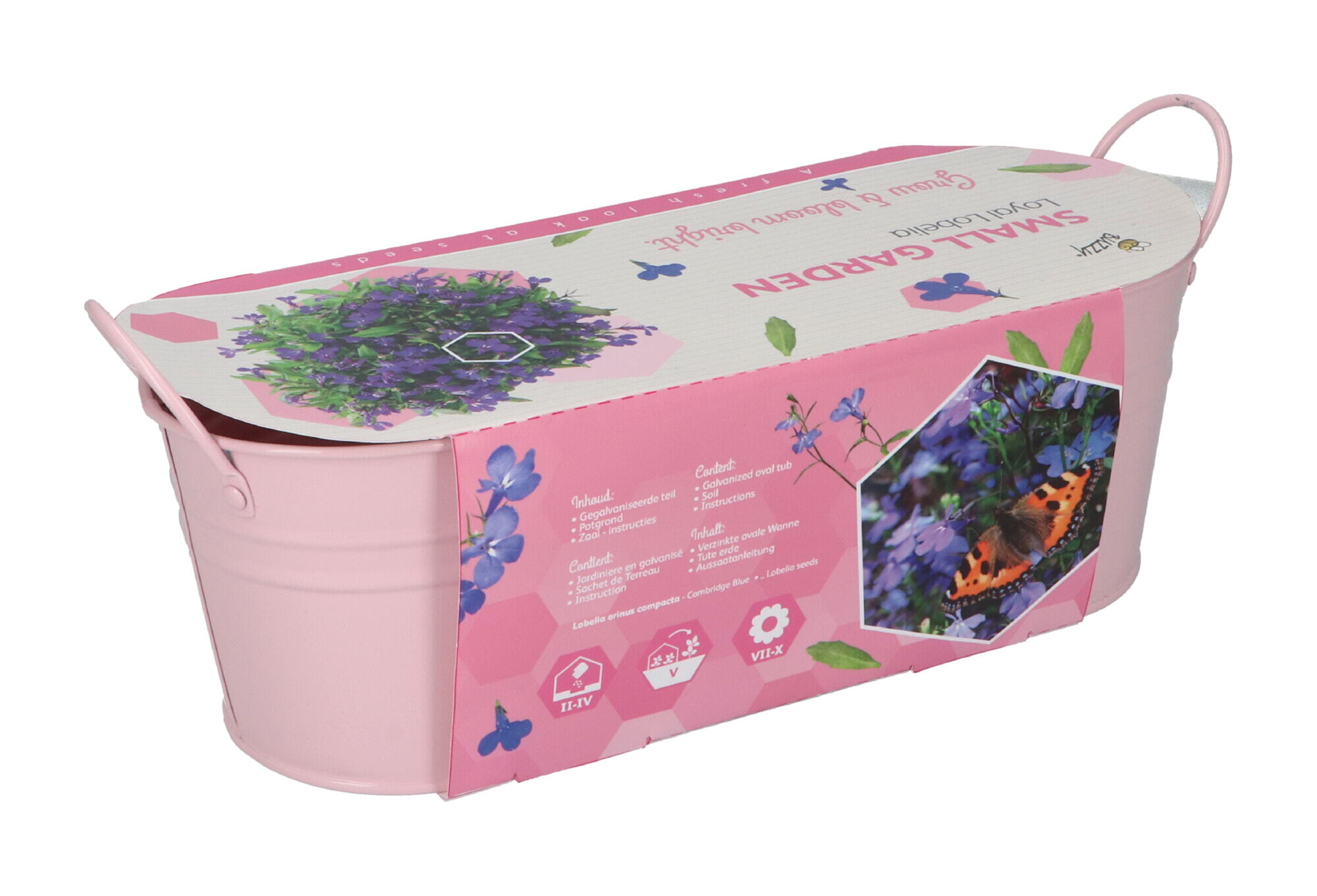 Buzzy® Small Garden Loyal Lobelia