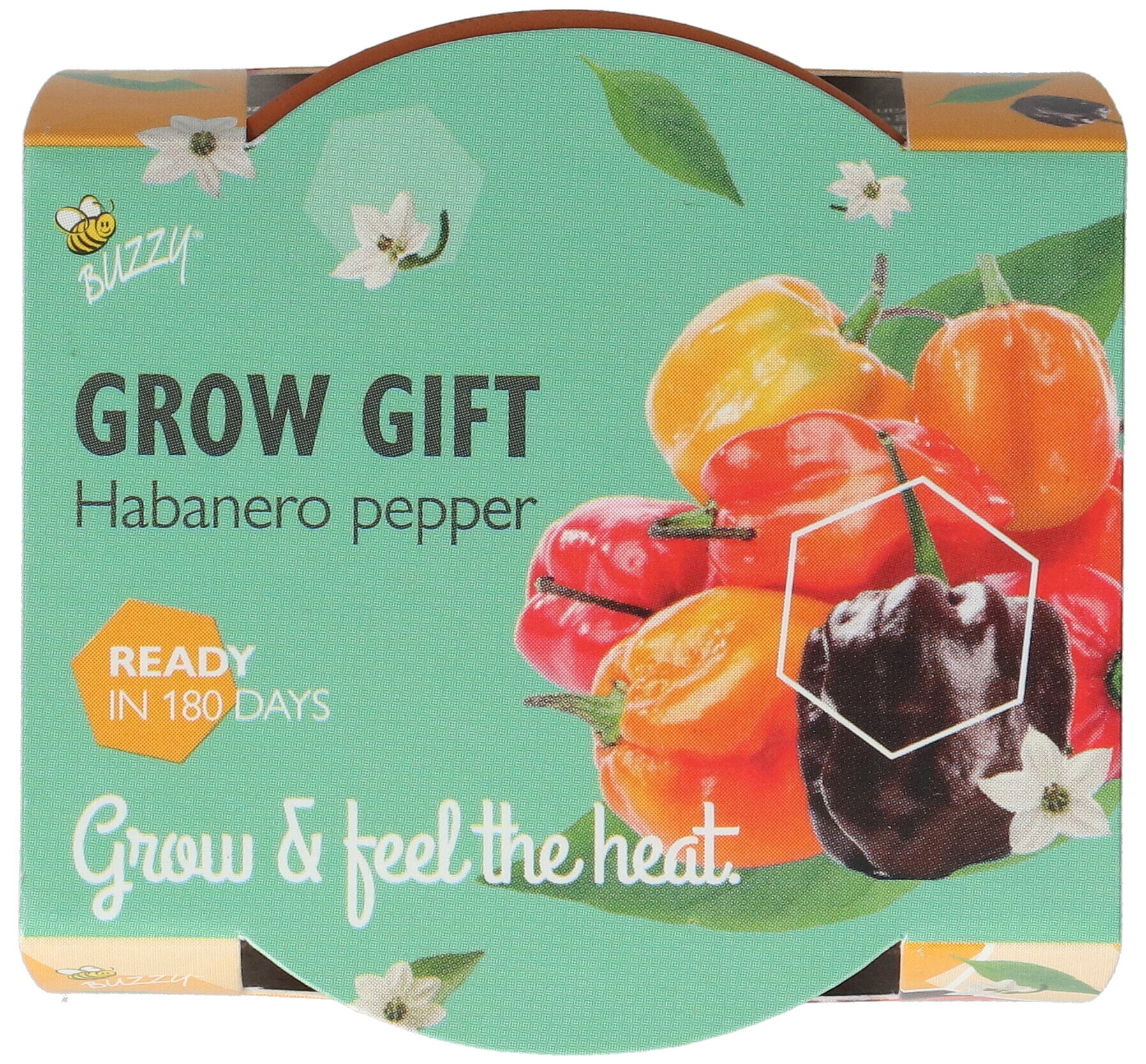 Buzzy® Grow Gifts Pepper 30st. in display