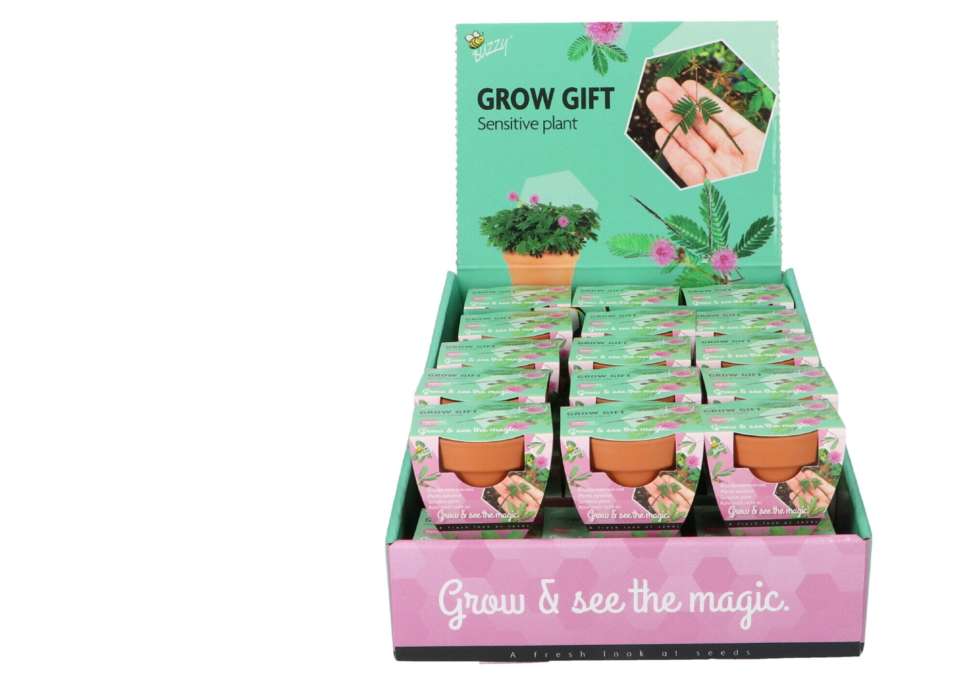 Buzzy® Grow Gifts Kruidje-roer-me-niet 30st. in display