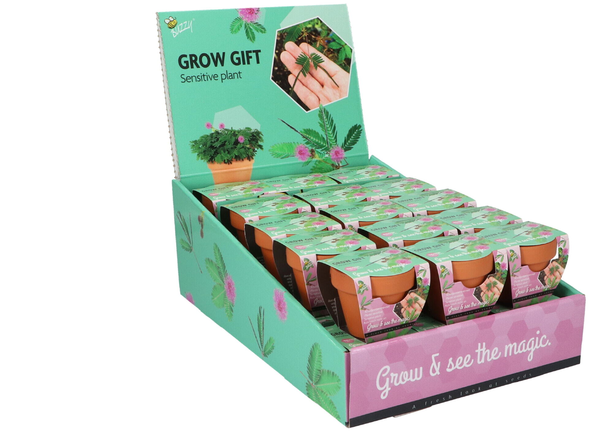 Buzzy® Grow Gifts Kruidje-roer-me-niet 30st. in display
