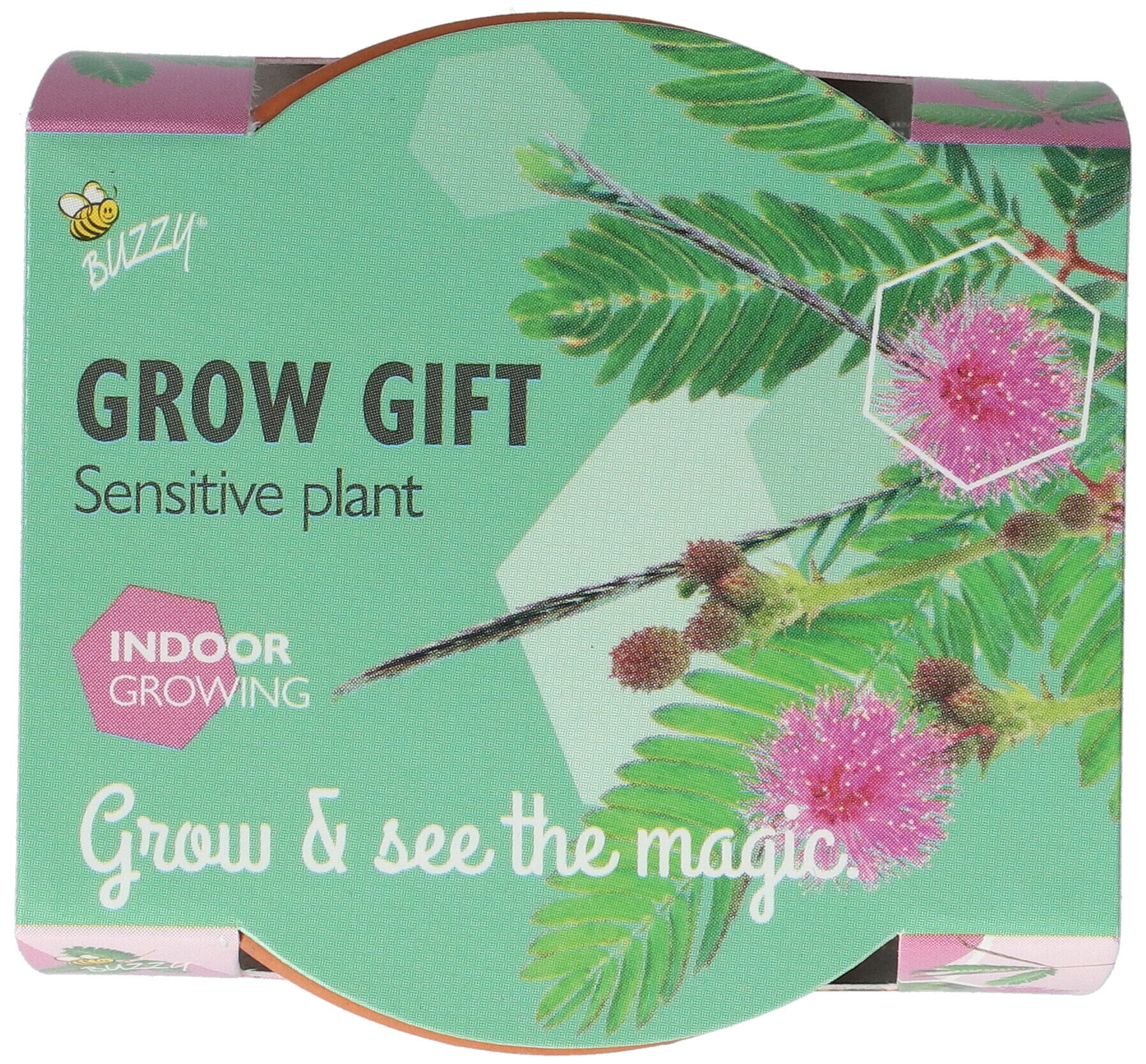 Buzzy® Grow Gifts Kruidje-roer-me-niet 30st. in display
