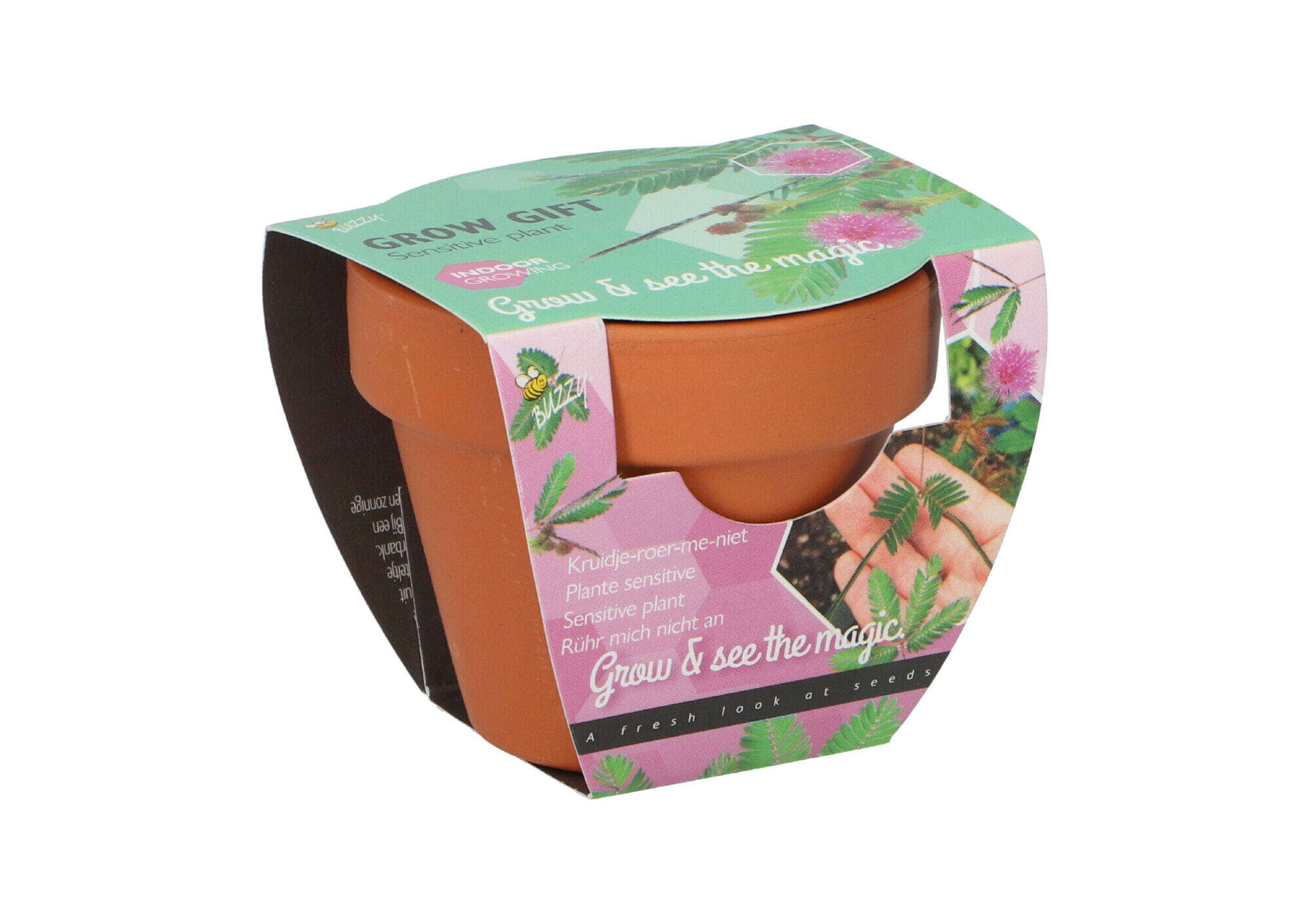 Buzzy® Grow Gifts Kruidje-roer-me-niet 30st. in display