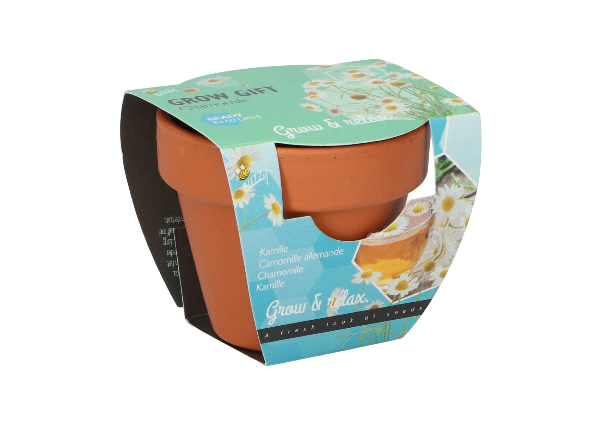 Buzzy® Grow Gifts Kamille 30st. in display