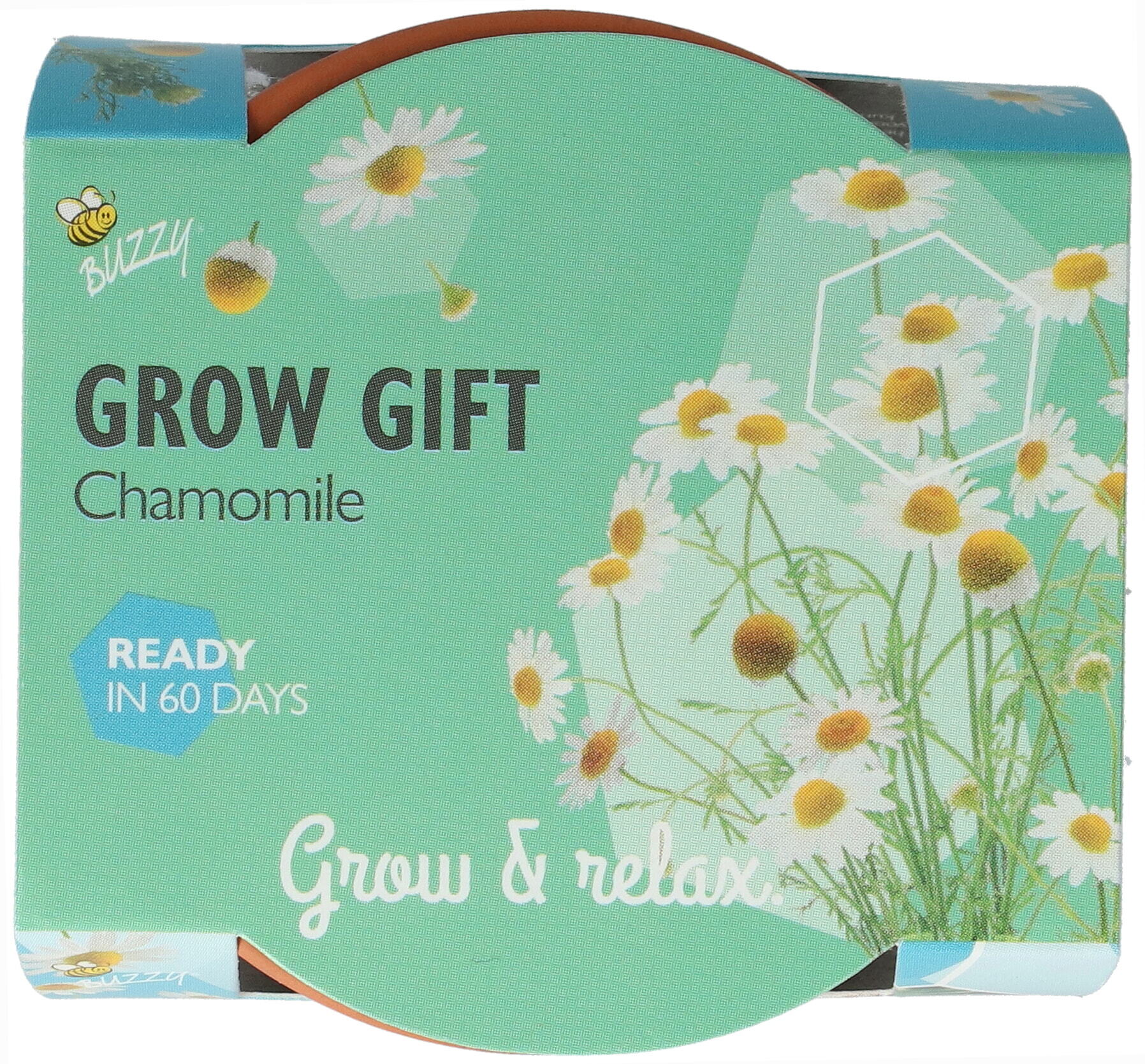 Buzzy® Grow Gifts Kamille 30st. in display