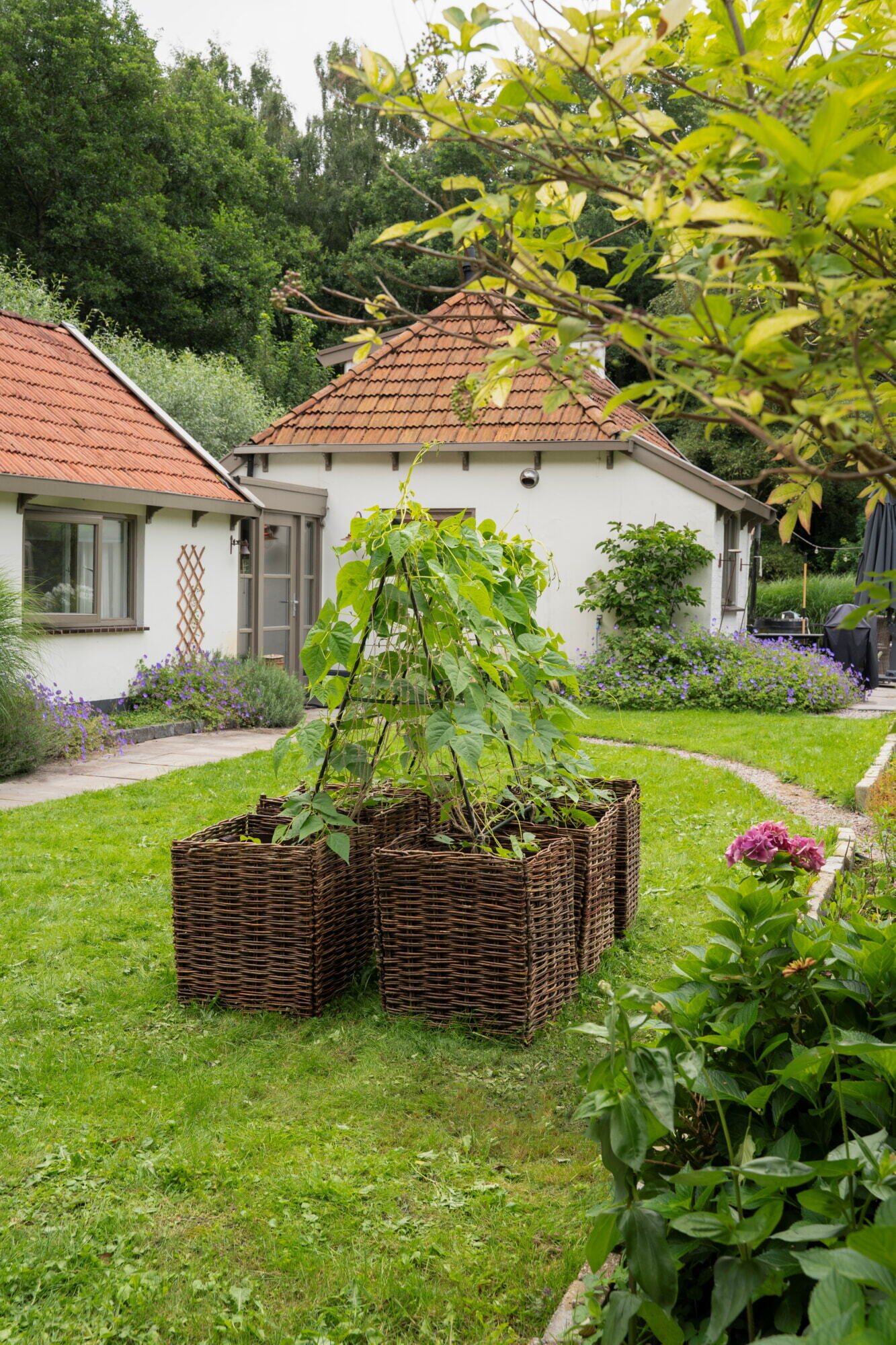 SOGO Trellis set with jute net 180cm