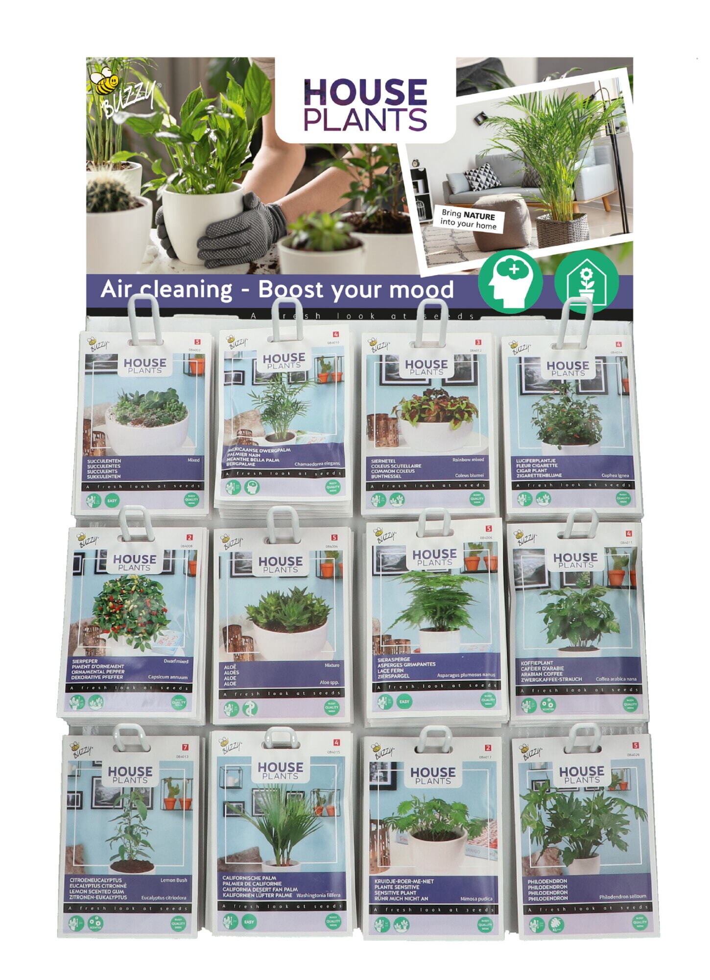 Buzzy® Display Houseplants 12x10