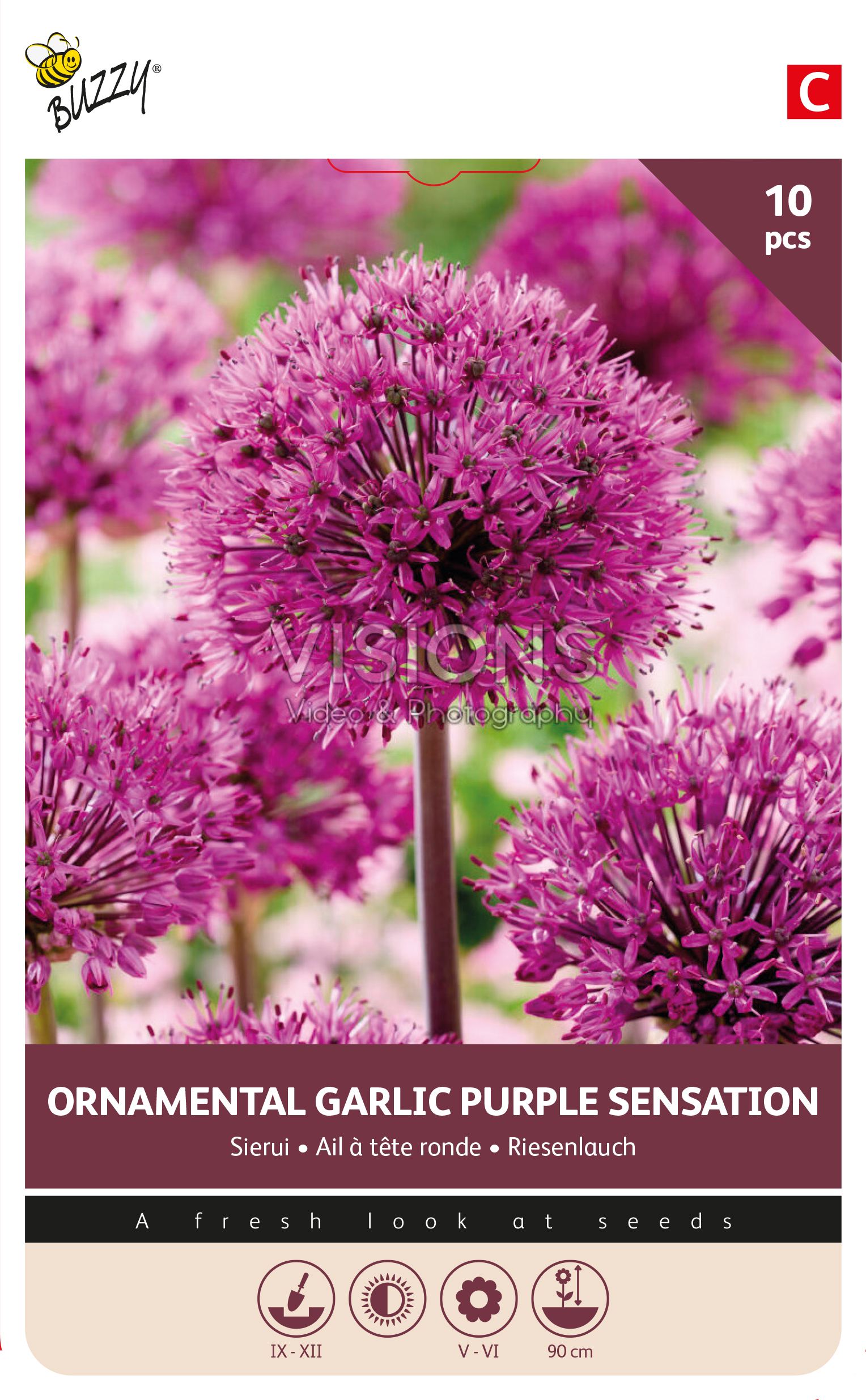 Buzzy® Bulbs Allium Purple Sensation 10/12