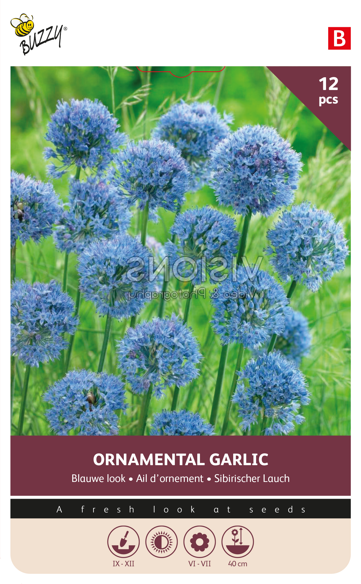Buzzy® Bulbs Allium Caeruleum 5/6