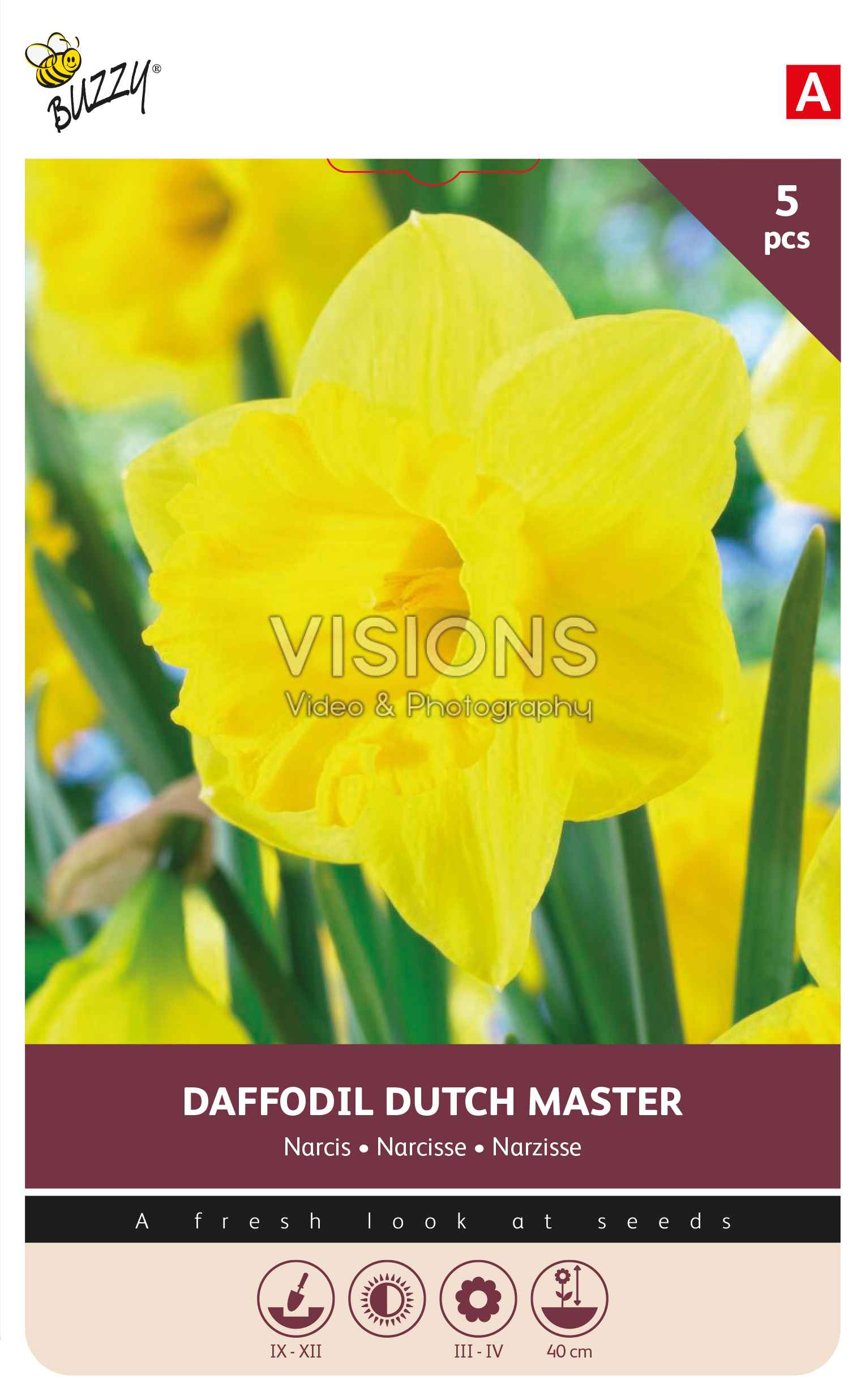 Buzzy® Bulbs Narcissus Dutch Master 12/14 5pcs.