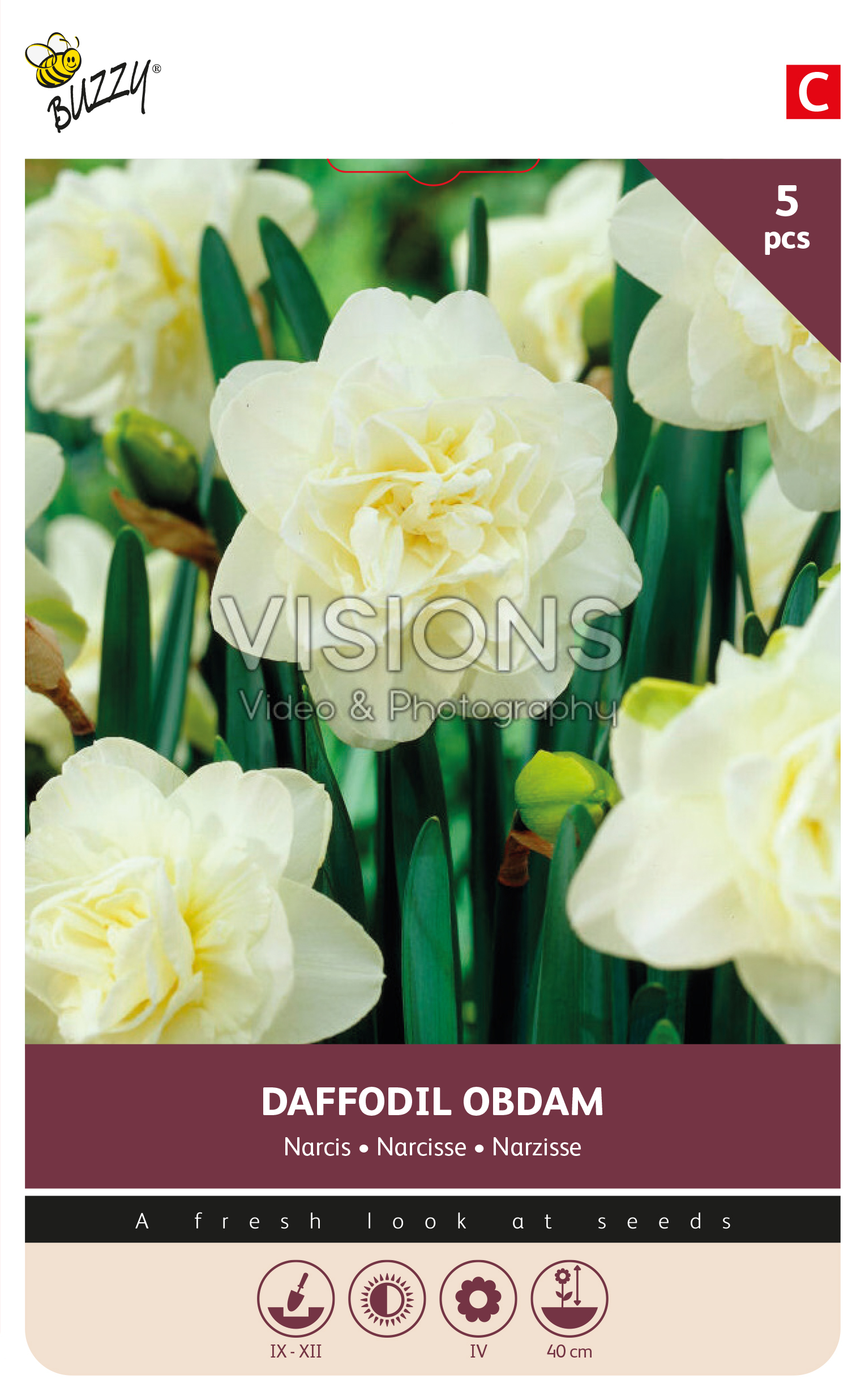 Buzzy® Bulbs Narcissus Obdam 12/14 5pcs.