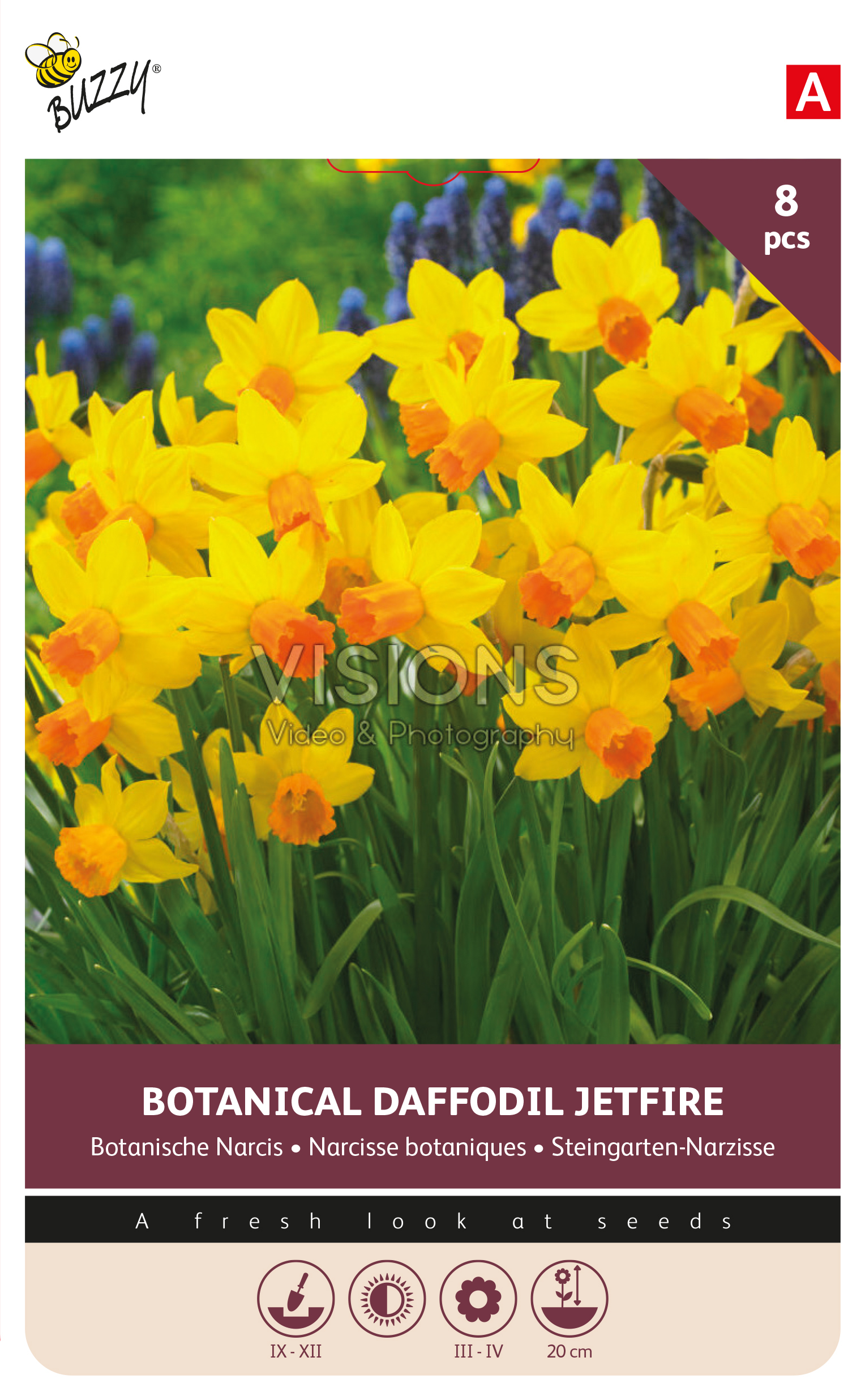Buzzy® Bulbs Narcis Jetfire 10/11 8st.