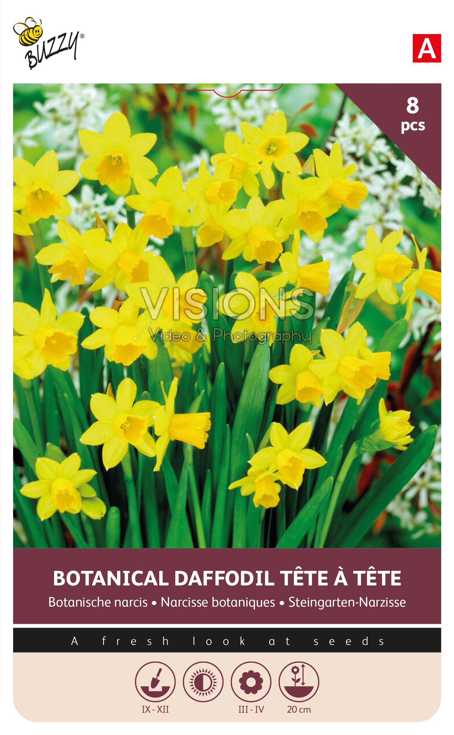 Buzzy® Bulbs Narcis Tete a Tete 10/11 8st.