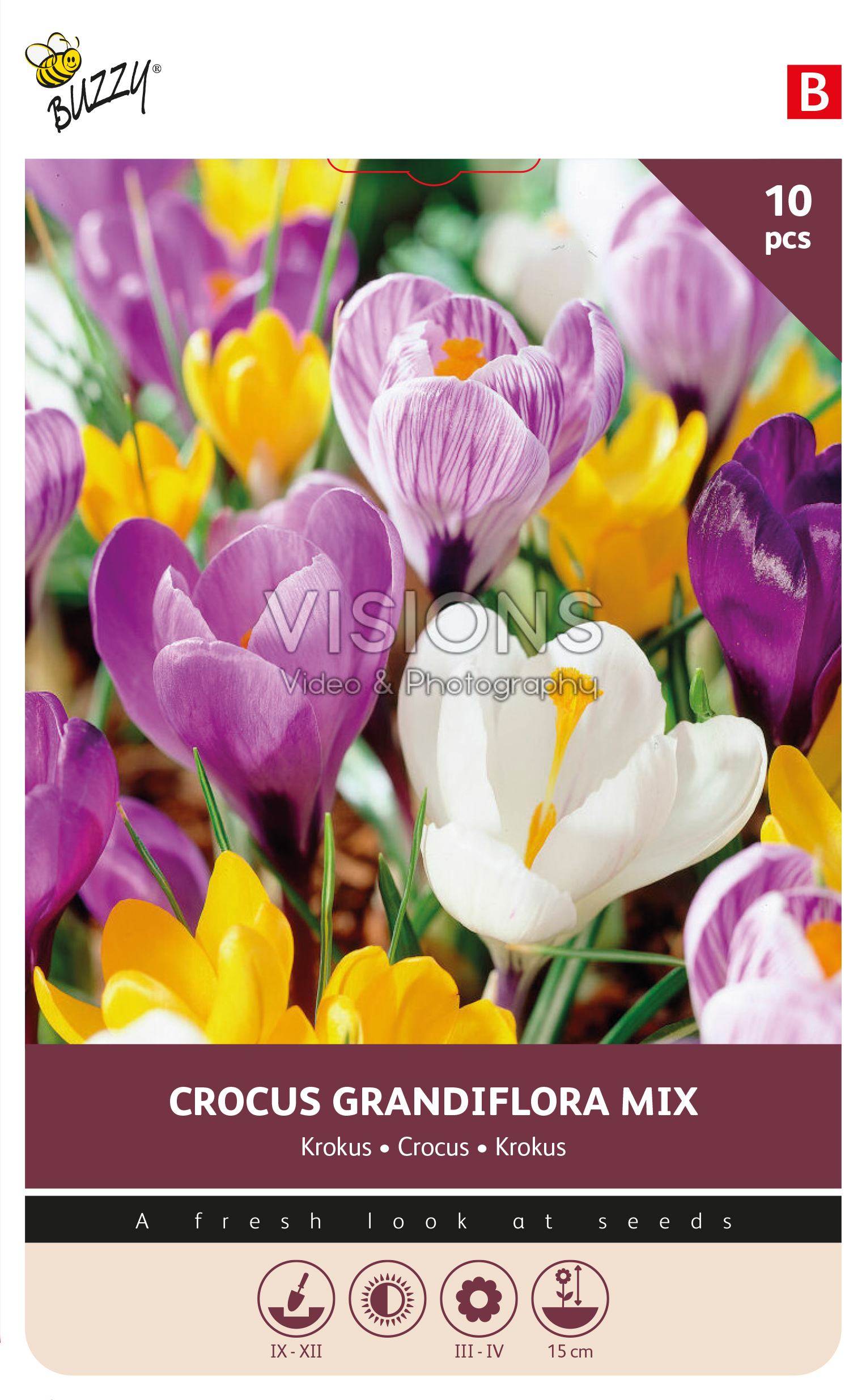 Buzzy® Bulbs Crocus Grandiflora mixed 8/9 10pcs.