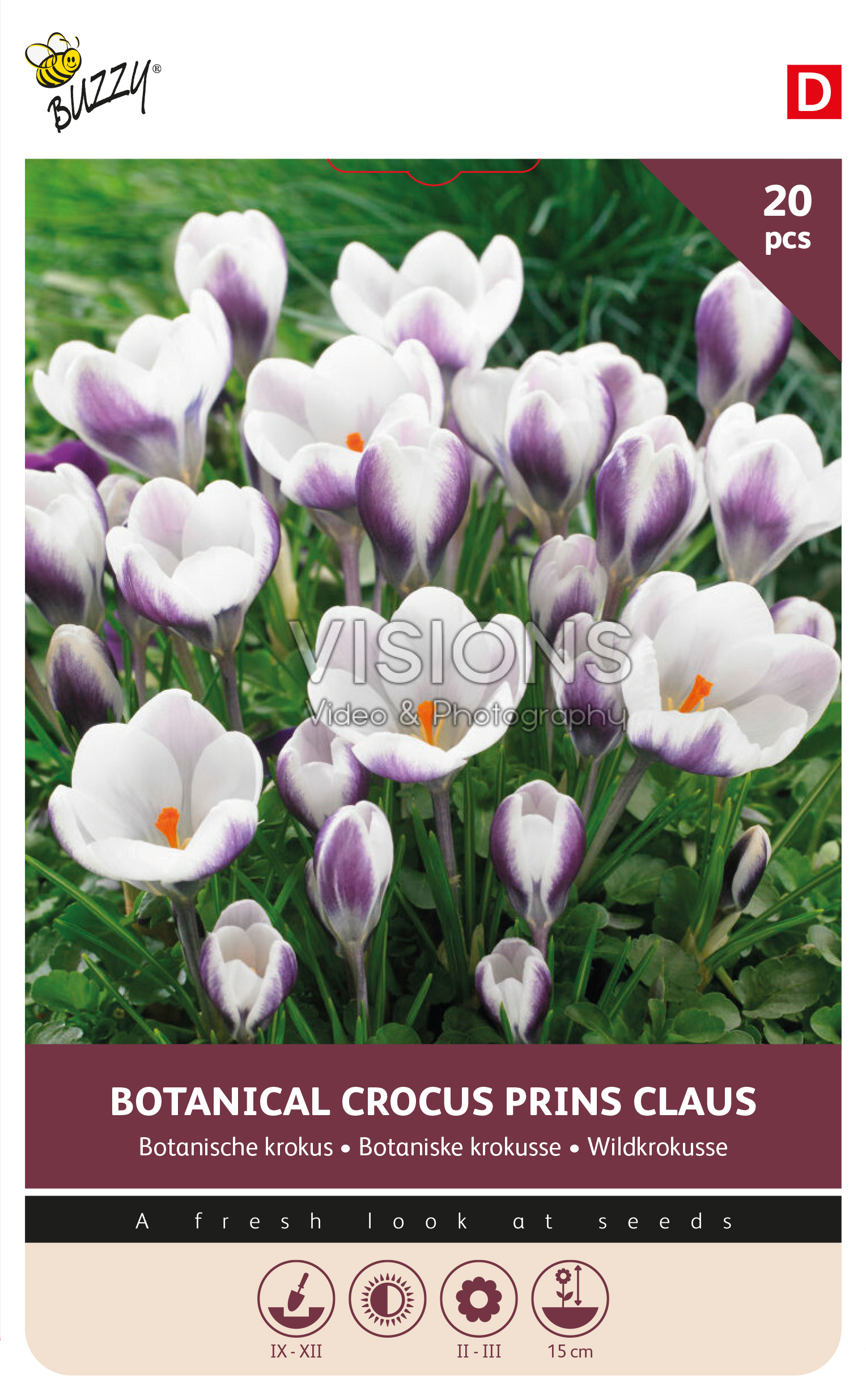 Crocus Prins Claus 5/7 20st.