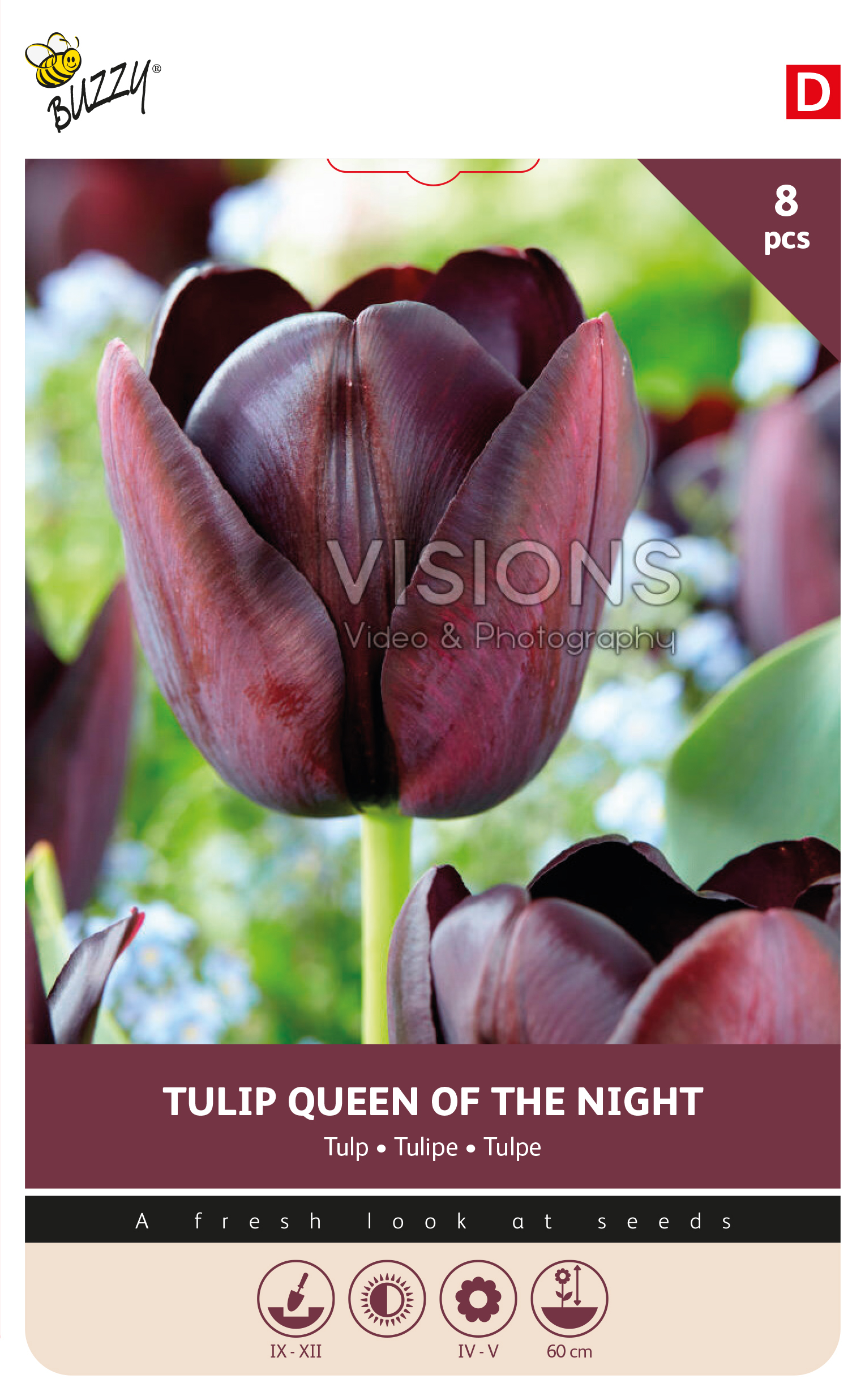 Buzzy® Bulbs Tulp Queen of Night 11/12  8st.