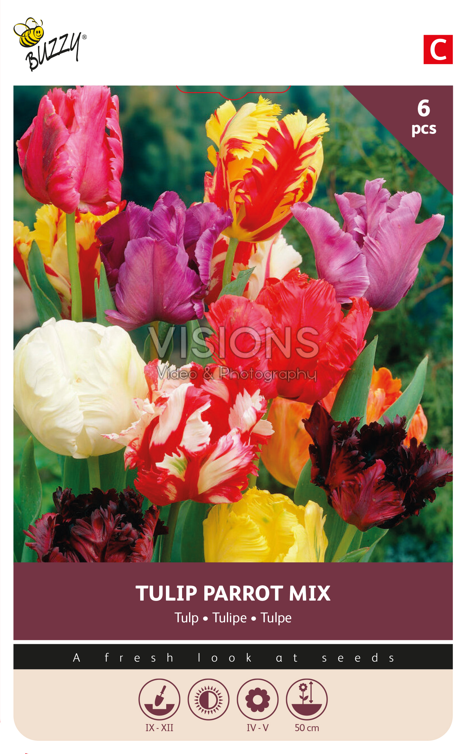 Buzzy® Bulbs Tulp Parkiet selected mix 11/12  6st.