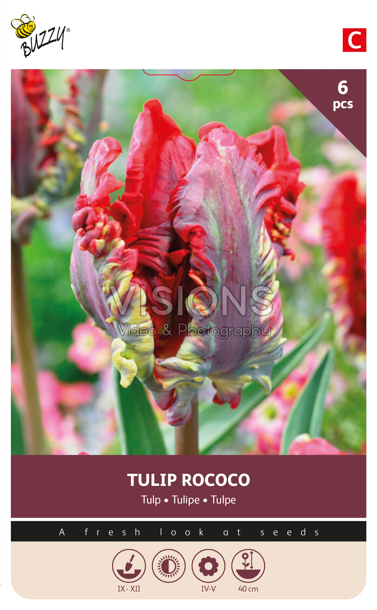 Buzzy® Bulbs Tulp Rococo 11/12  6st.