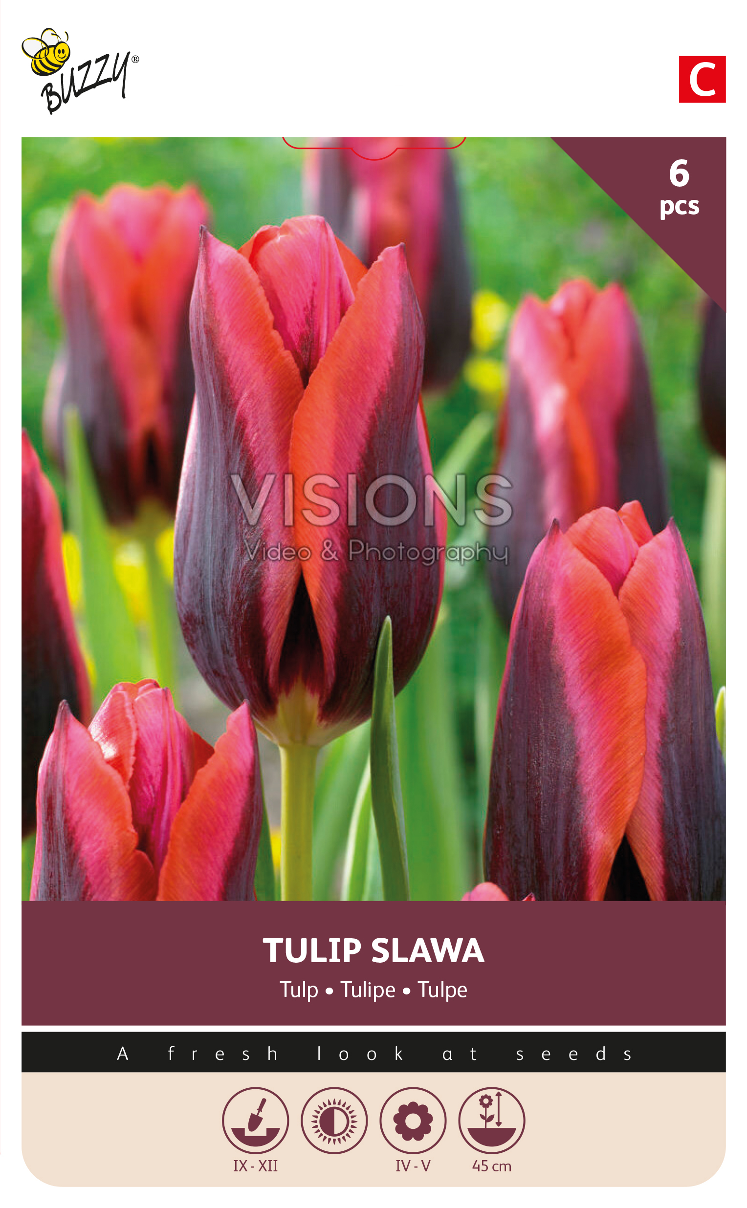 Buzzy® Bulbs Tulp Slawa 11/12  6st.