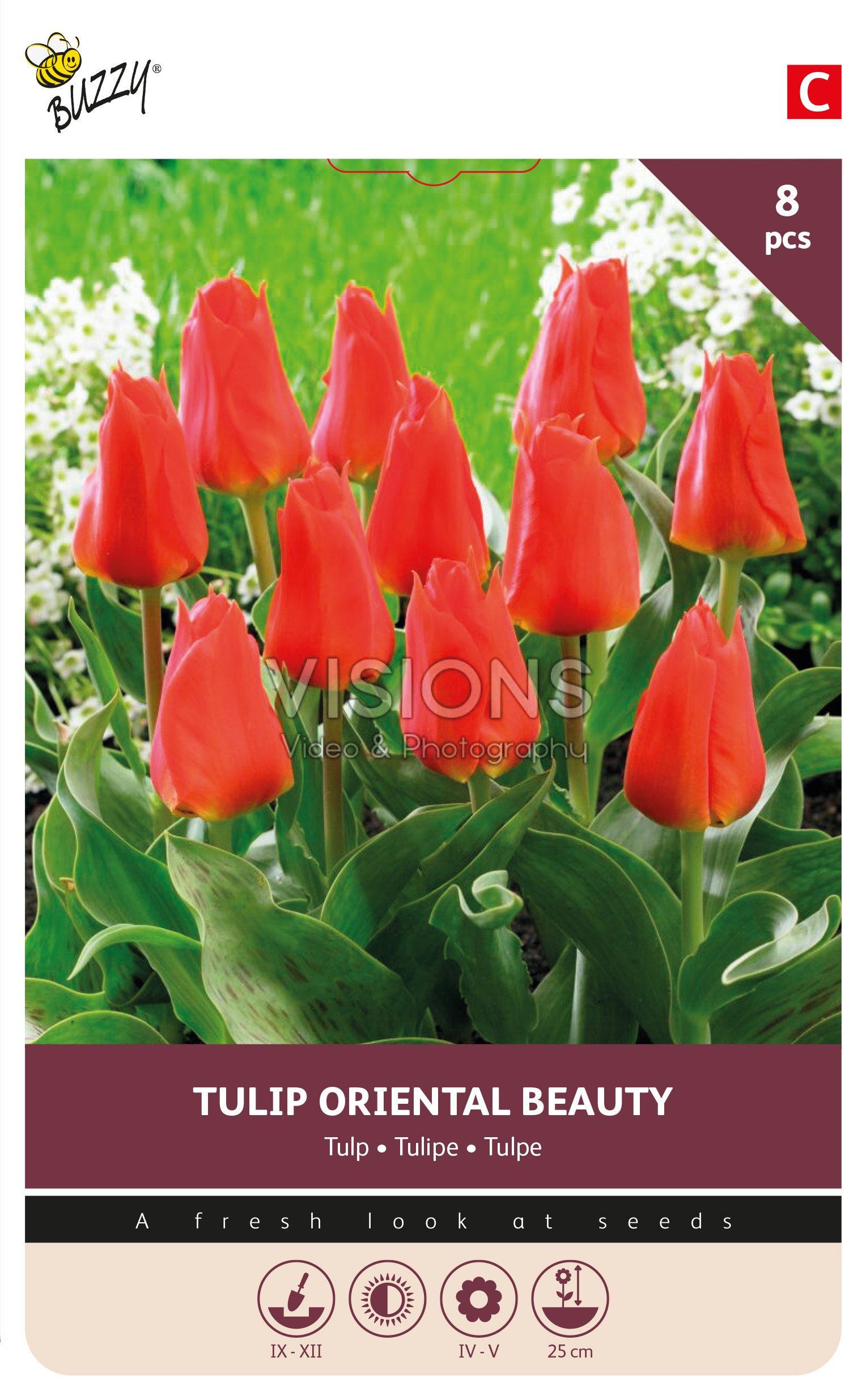 Buzzy® Bulbs Tulp Oriental Beauty 11/12  8st.