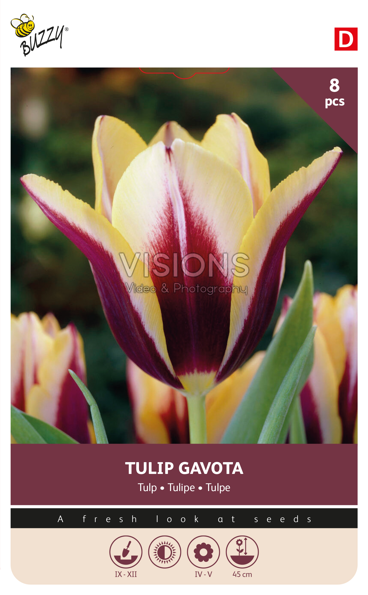 Buzzy® Bulbs Tulp Gavota 11/12  8st.