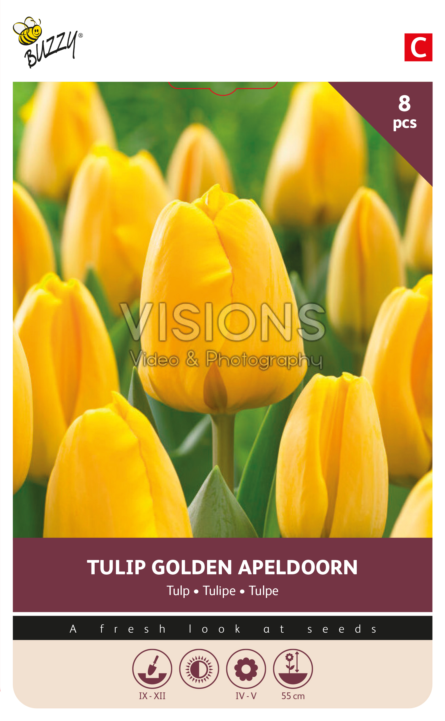 Buzzy® Bulbs Tulip Golden Apeldoorn 11/12  8pcs.